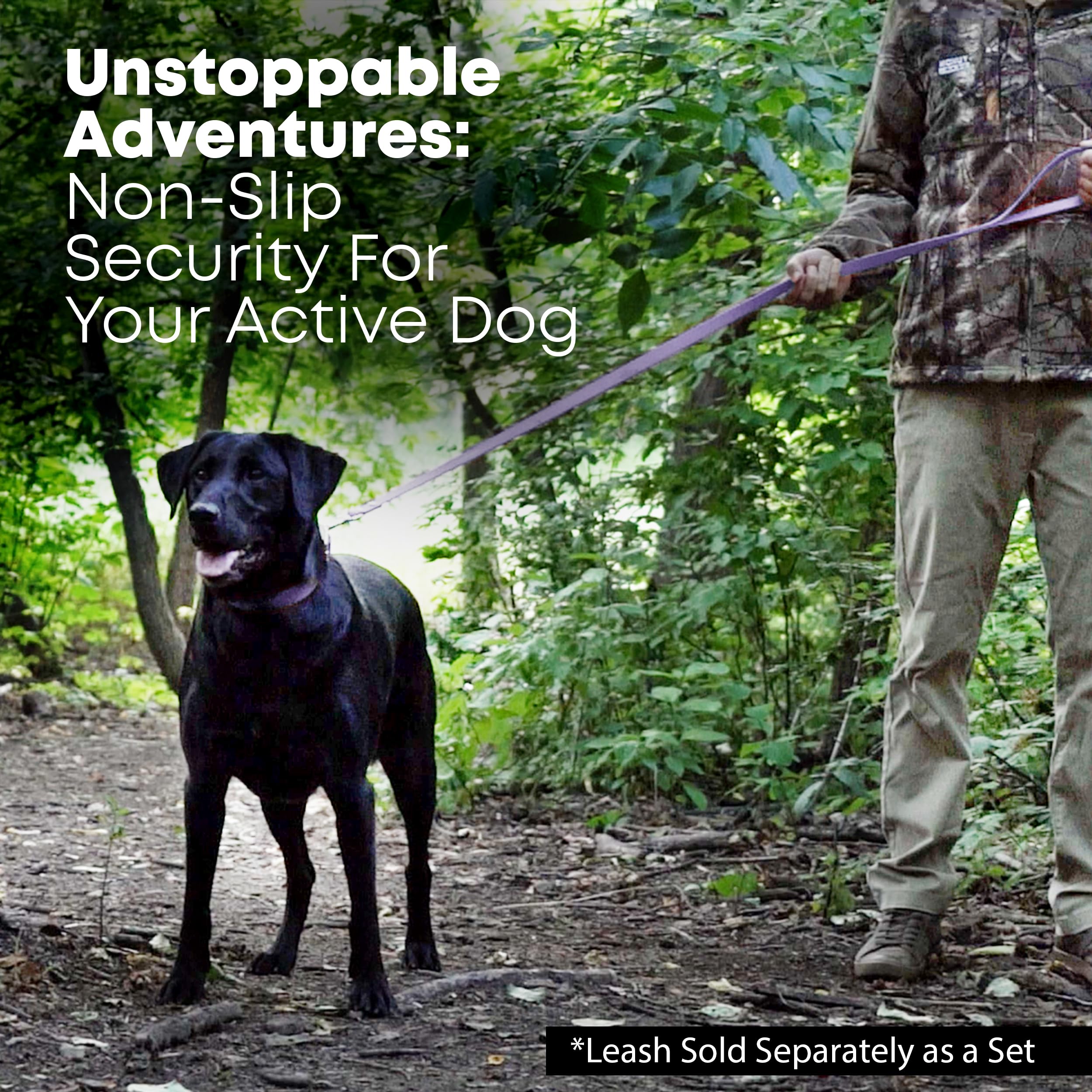 Regal Dog Products Medium Purple Dog Collar With Heavy Duty Double Buckle & D Ring | Vinyl Coated, Custom Fit, Adjustable Biotha