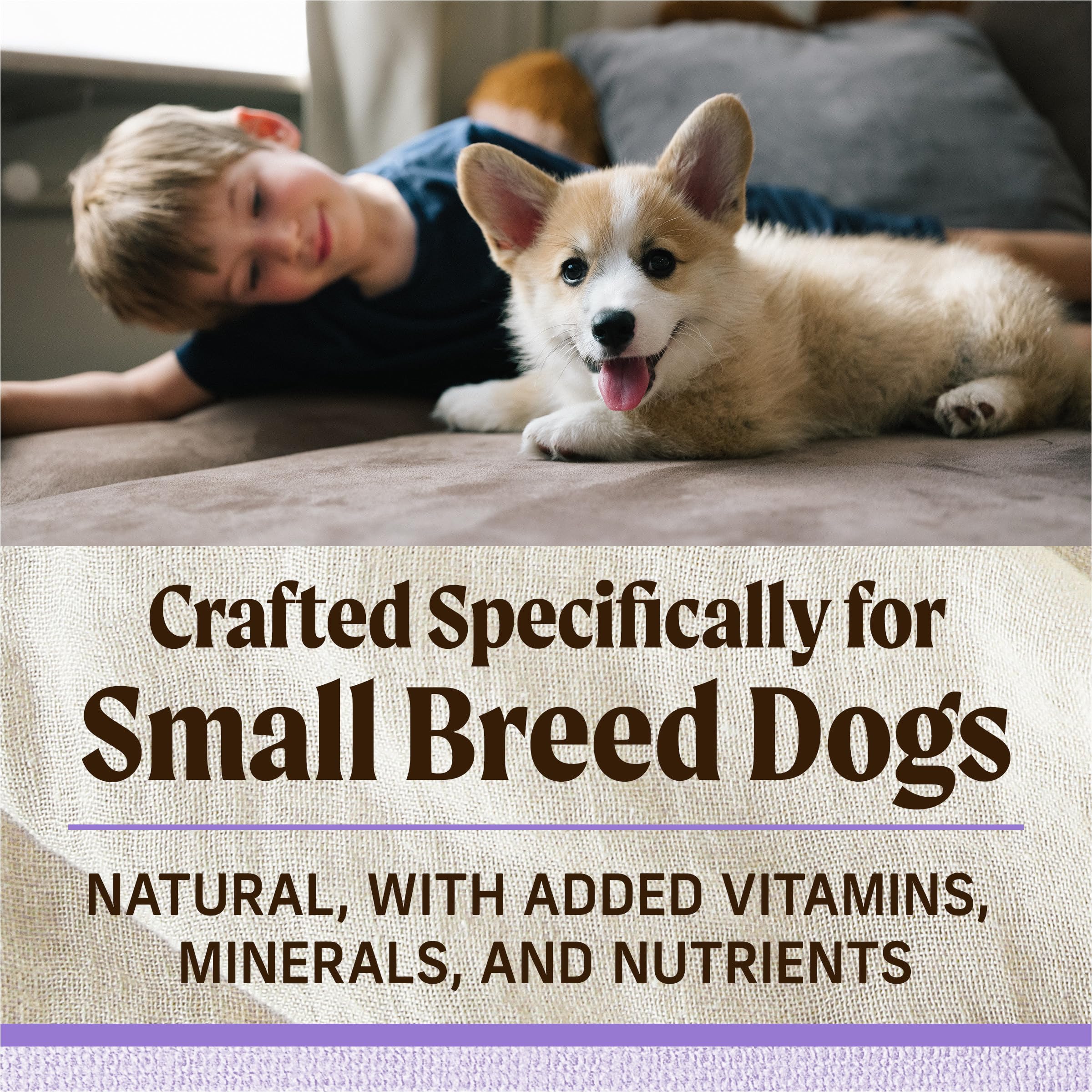 Merrick Lil Plates Premium Grain Free Dry Puppy Food for Small Dogs, Real Chicken and Sweet Potato Kibble - 12.0 lb. Bag