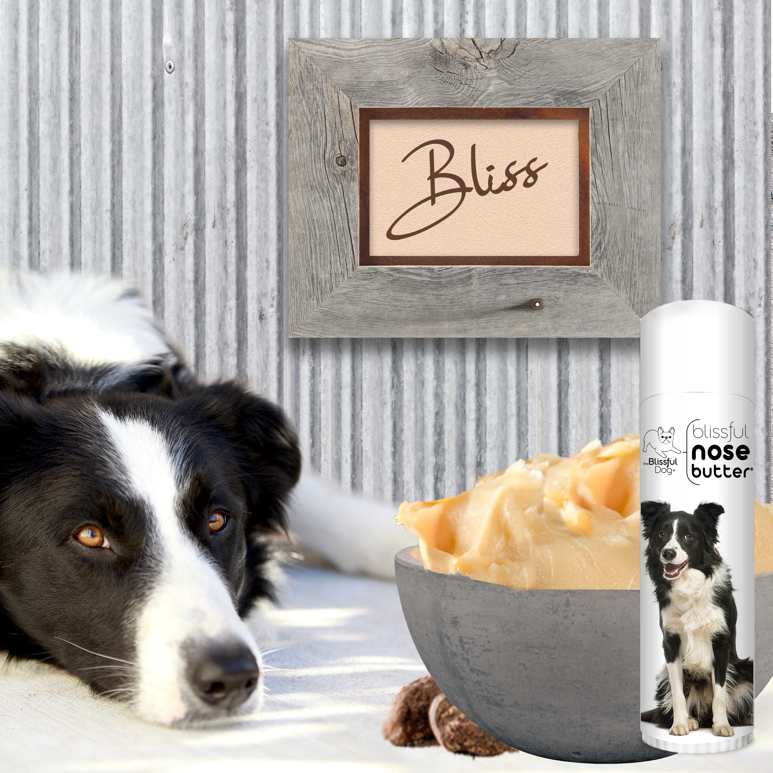 The Blissful Dog Border Collie Unscented Nose Butter, 0.50-Ounce
