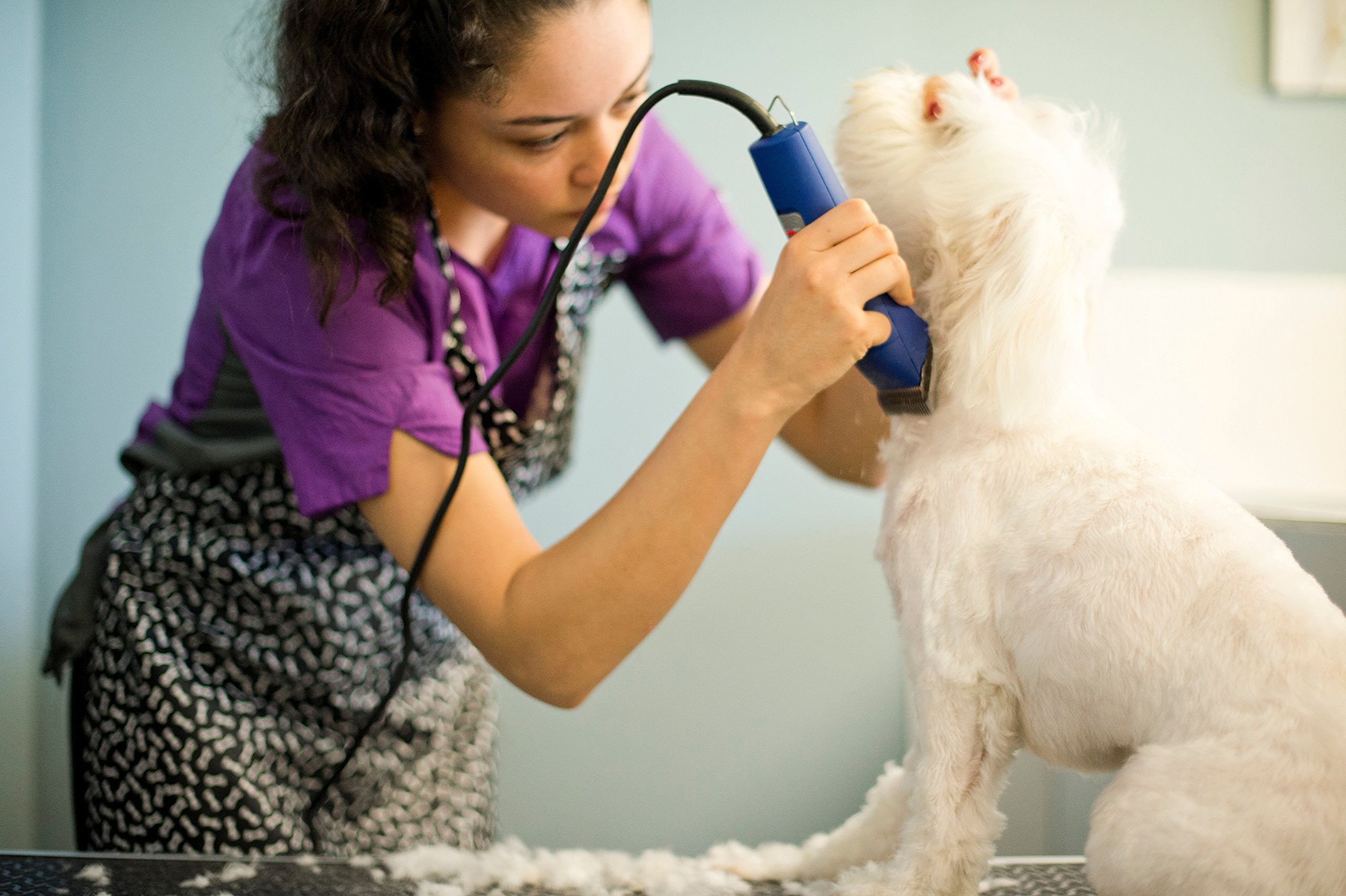 Andis – 23275, Ultra Edge Detachable Blade Clipper - Super 2-Speed Rotary Motor With Minimal Noise, 3400-4400 Strokes Per Minute, Includes 14-Inch Heavy-Duty Cord – For Dogs, Coats & Breeds, Blue