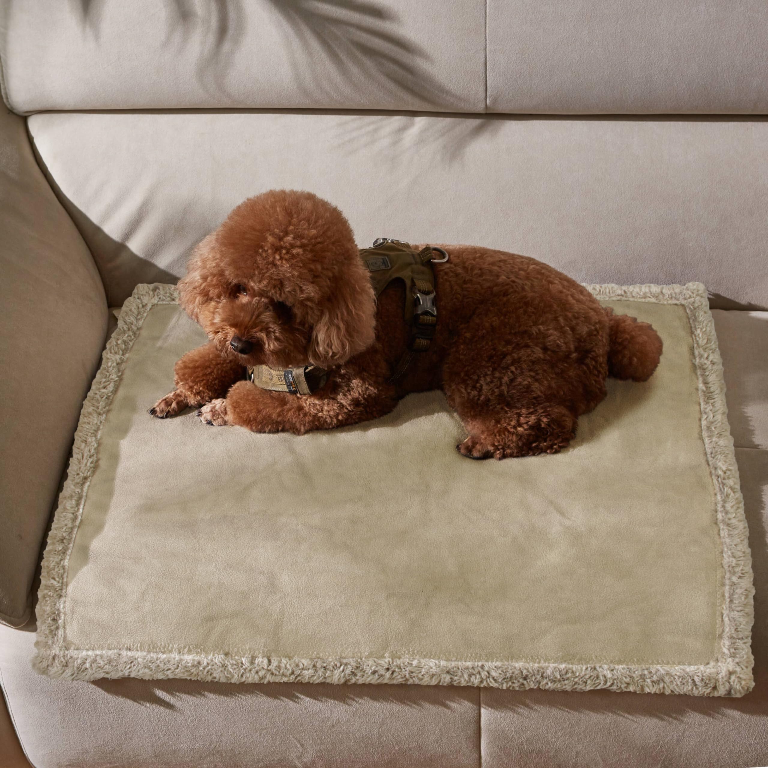 Kritter Planet Waterproof Puppy Blanket For Small Dogs, Pee Proof Sherpa Fleece Pet Blanket, Reversible Cover For Couch Bed, Liq