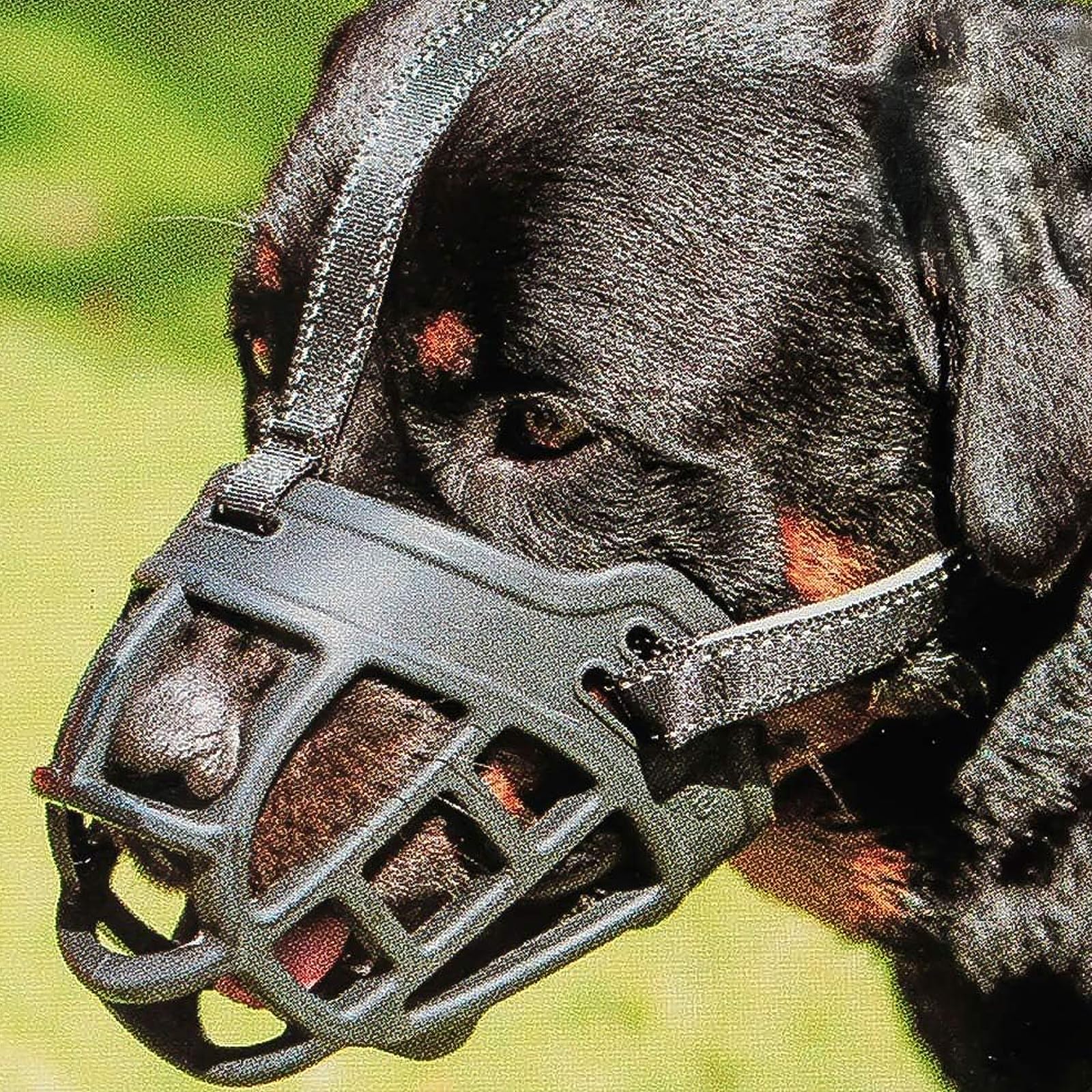 Dog Muzzle,Soft Basket Silicone Muzzles For Dog, Best To Prevent Biting, Chewing And Barking, Allows Drinking And Panting, Used 