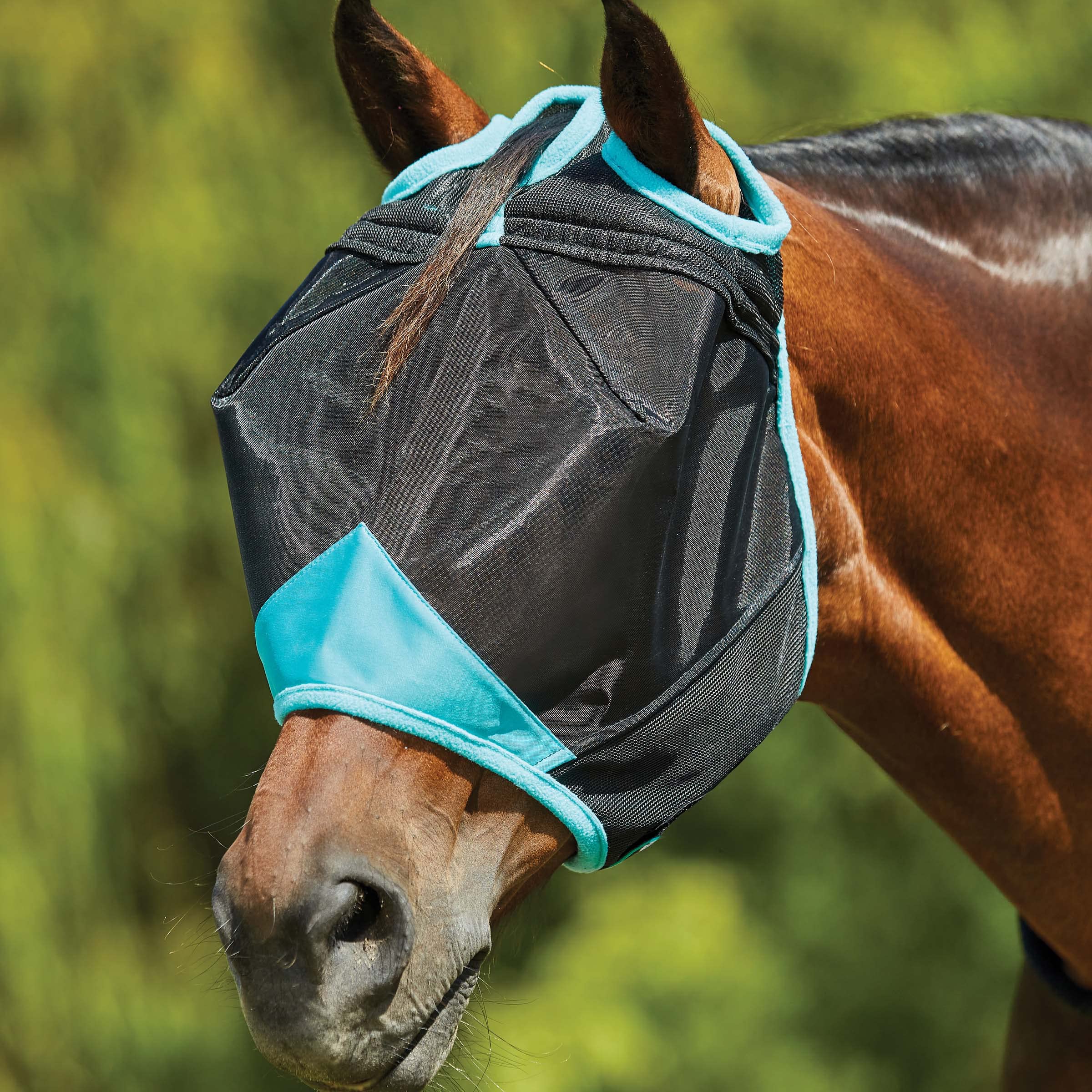 WeatherBeeta ComFiTec Deluxe Fine Mesh Mask, Black/Turquoise, Small Pony