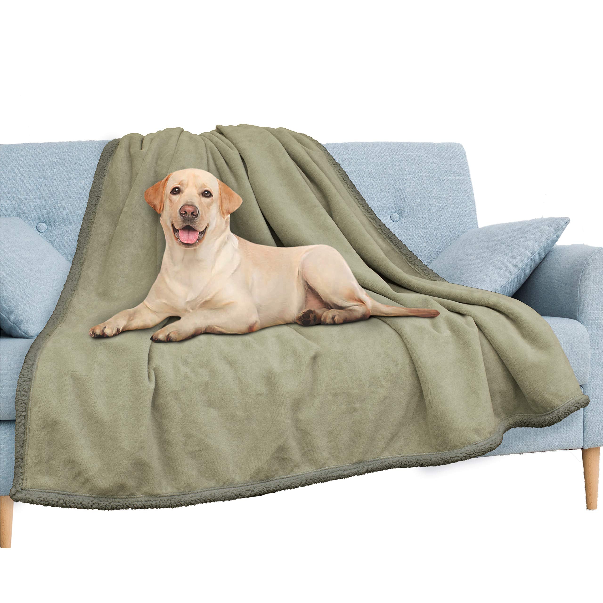 PAVILIA Waterproof Blanket for Couch, Sofa | Waterproof Dog Blanket for Large Dog, Puppy, Cat | Pet Blanket Protector | Plush So