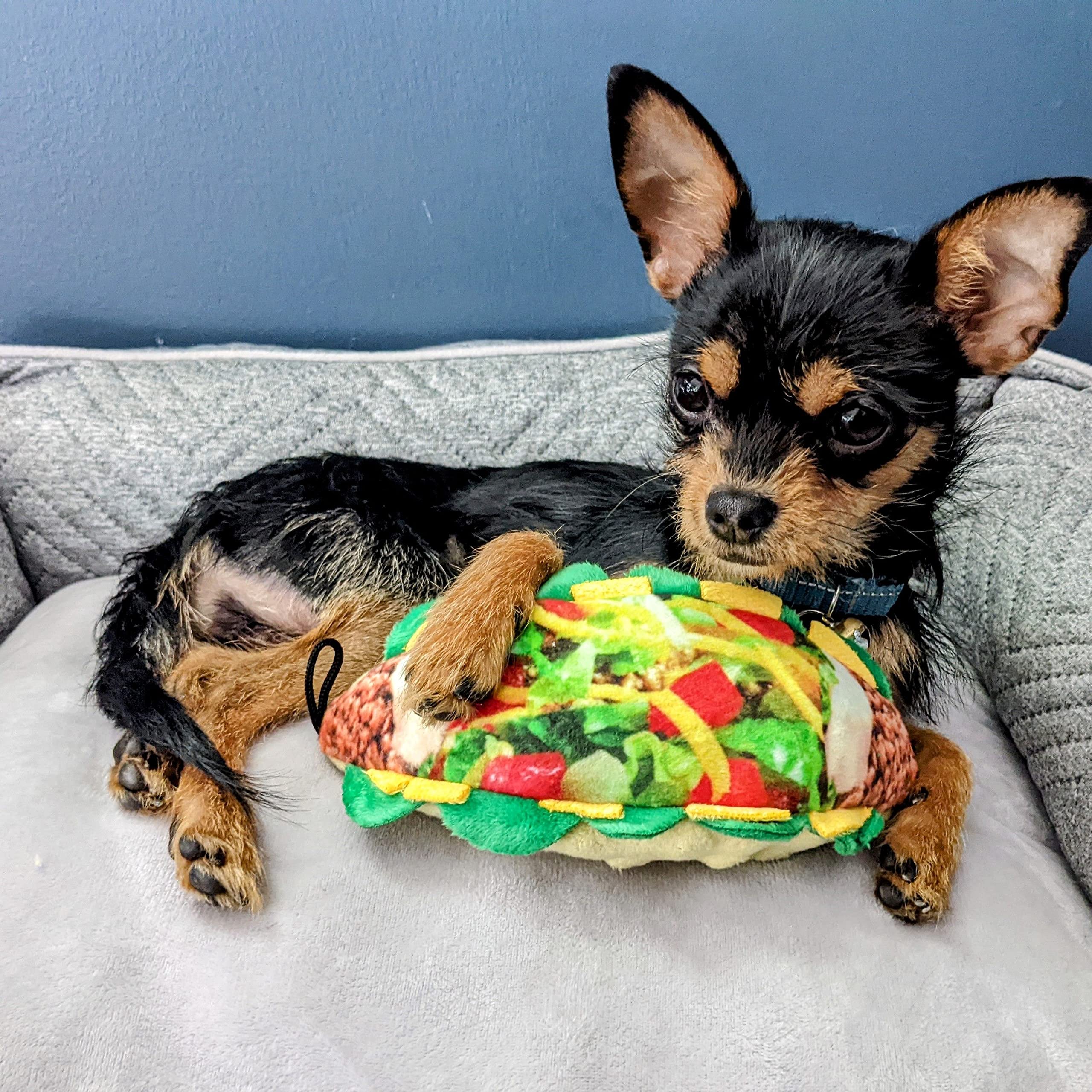 Huxley & Kent for Dogs | Taco Tuesday (Large) | Funny Dog Toy | Dog Toy with Squeaker | Dog Gift | Fun, Durable, and Safe | Sque