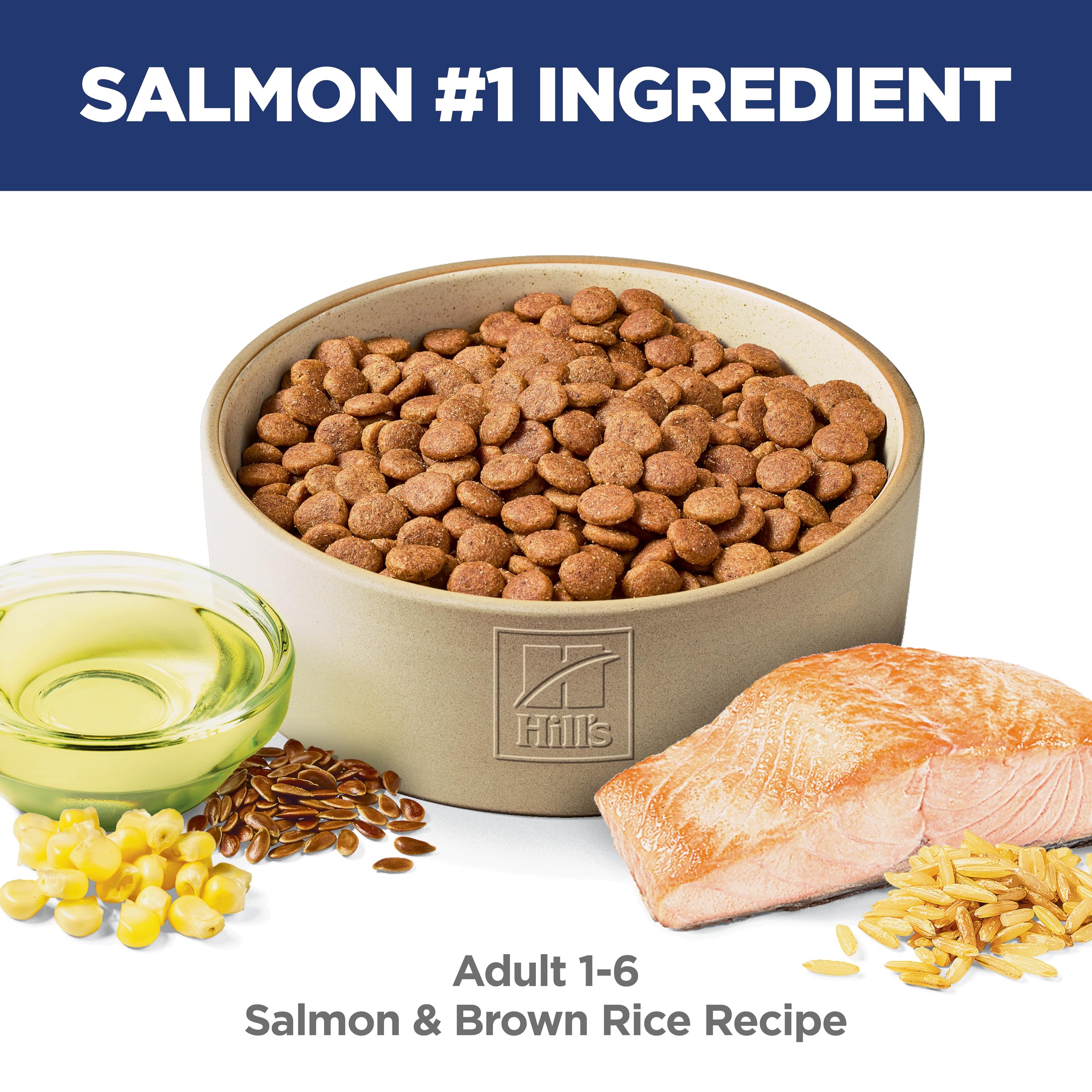 Hills Science Diet Adult 1-6, Adult 1-6 Premium Nutrition, Dry Dog Food, Salmon & Brown Rice, 4.5 lb Bag
