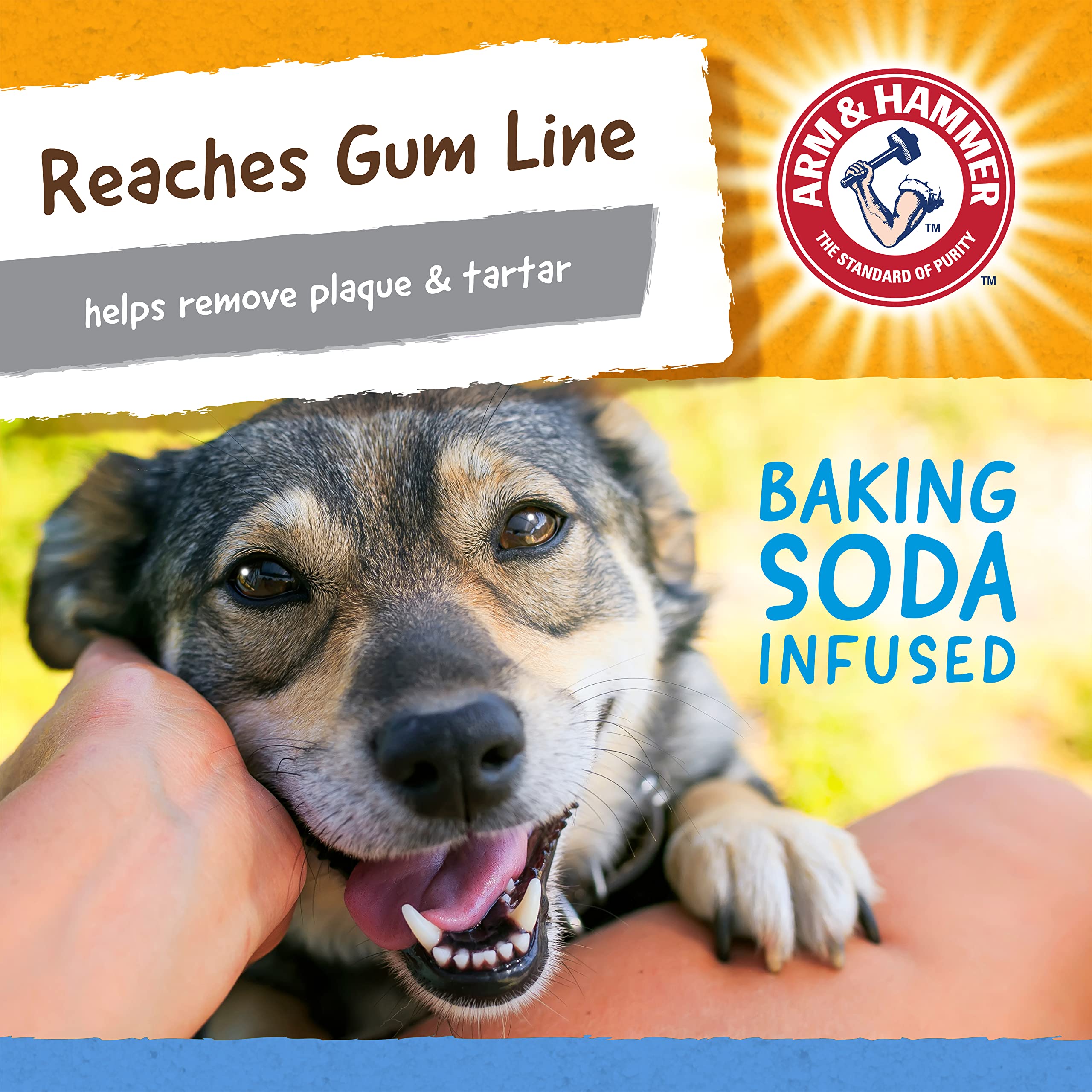 Arm & Hammer for Pets Nubbies TriBone Dog Dental Toy Best Dog Chew Toy for Moderate Chewers Dog Dental Toy Helps Reduce Plaque &