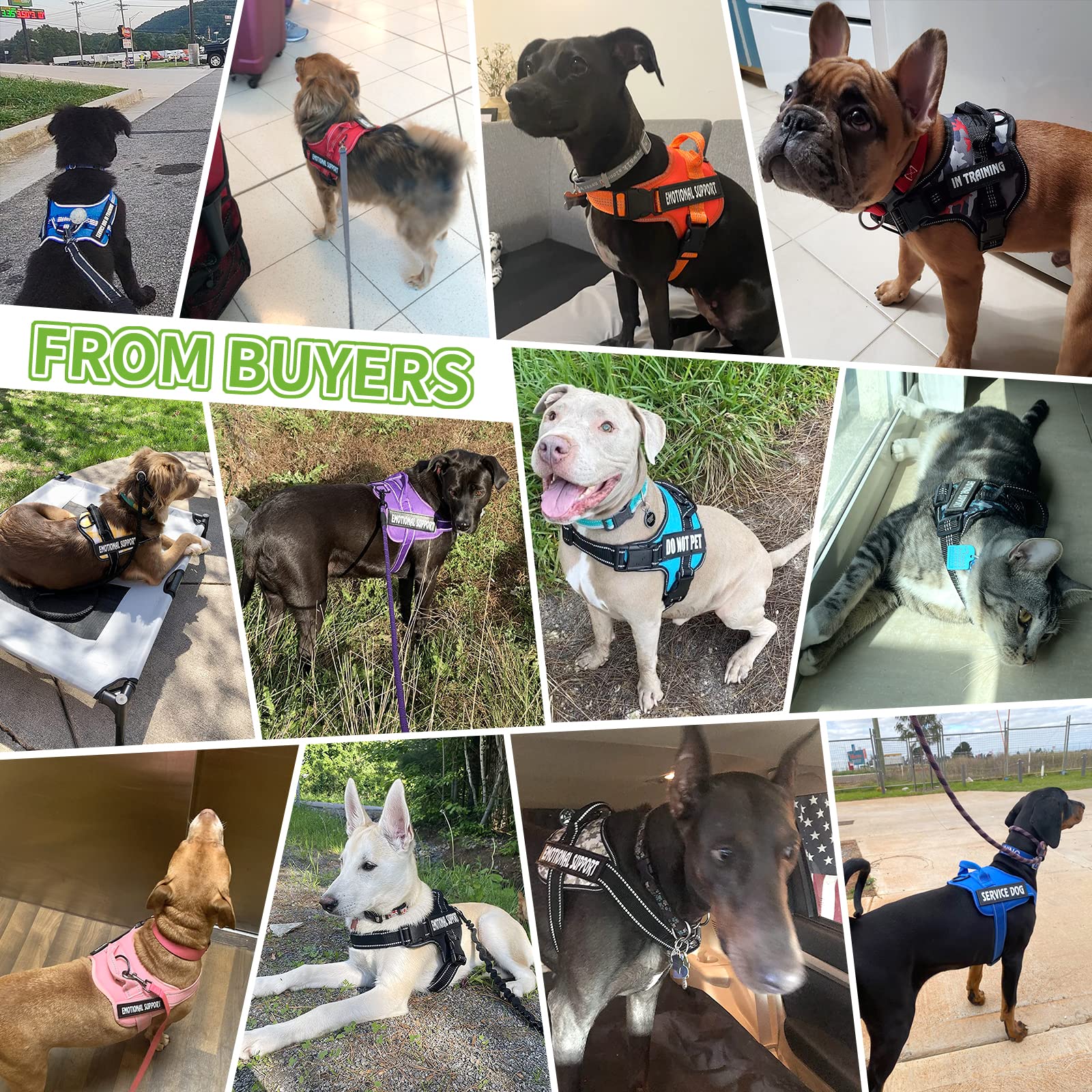 voopet Service Dog Harness, Emotional Support Pet Vest Harness, Reflective Breathable & Adjustable No Pull ESA Harness for Small