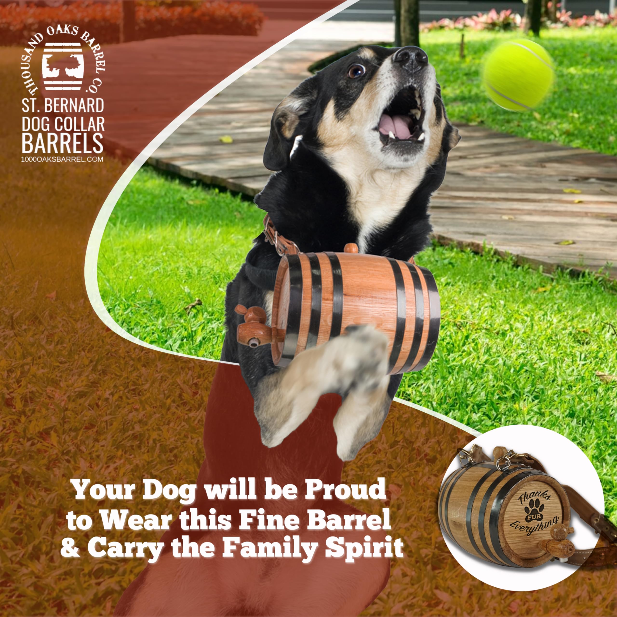 St Bernard Whiskey Barrel Collar For Dog, Thanks Fur Everything' - 1/2 Liter Oak Aging Barrel Dispenser For Saint Bernard Dogs W