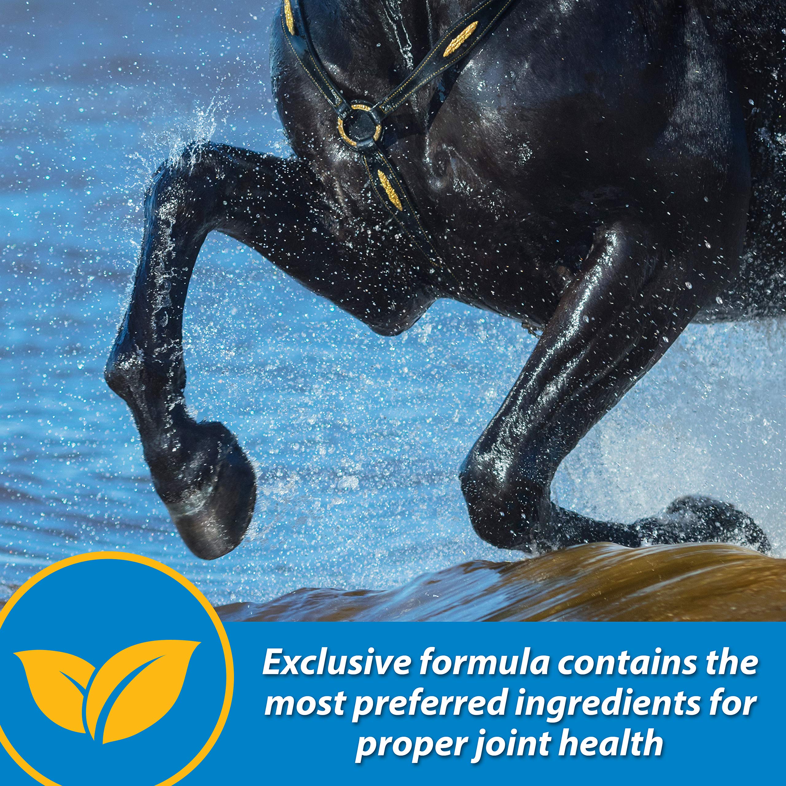 Farnam Fluidflex Liquid Joint Supplement for Horses, Helps Maintain Healthy Hip & Joint Function, 32 Ounces 32 Day Supply