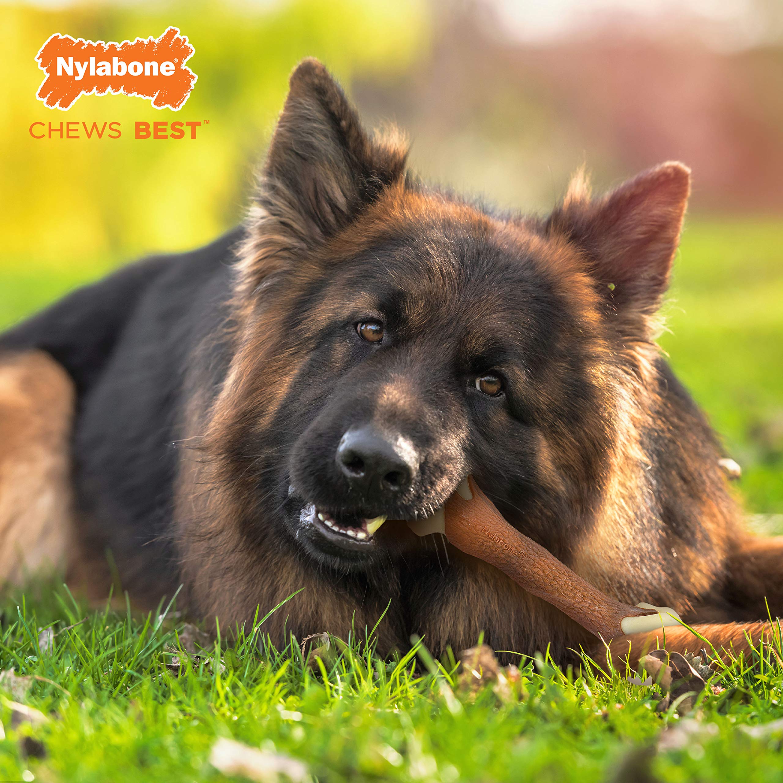 Nylabone Femur Bone Rawhide Alternative Power Chew Durable Dog Toy Femur Bacon Large/Giant (1 Count)