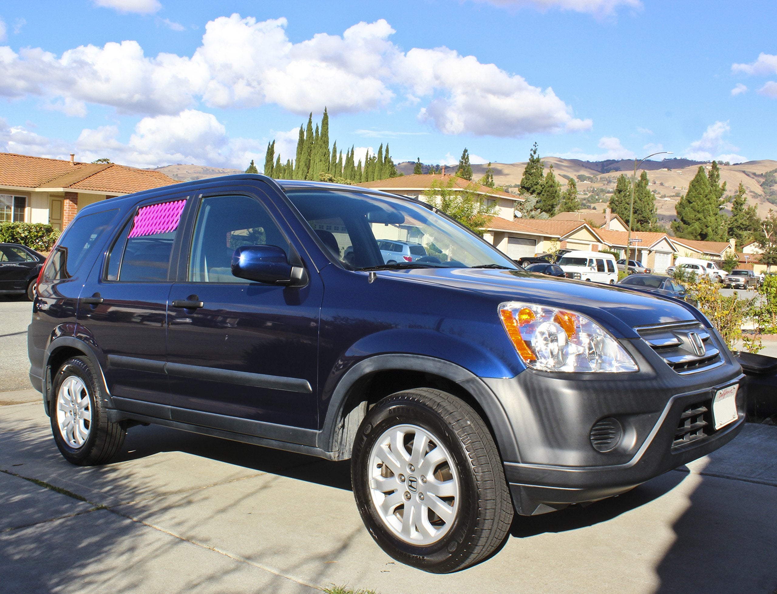 Zoie + Chloe Extra Large Car & Truck Window Pet Gate