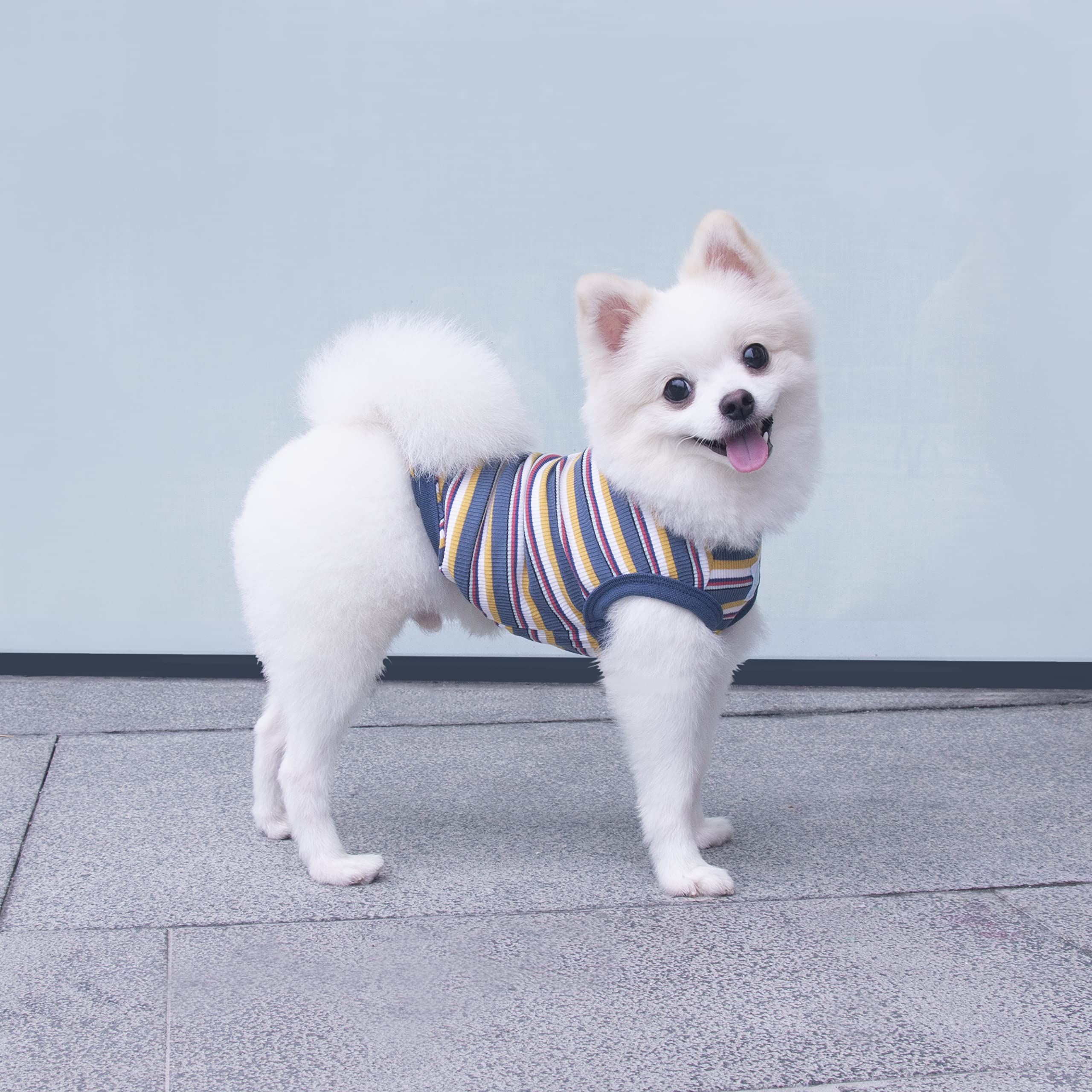 Szat Pro Striped Teacup Pet Dog T-Shirts, 100% Cotton Tank Vest For Small Dogs And Cats, Sleeveless Puppy Clothes For Chihuahua Yorkie Blue Yellow, X-Small