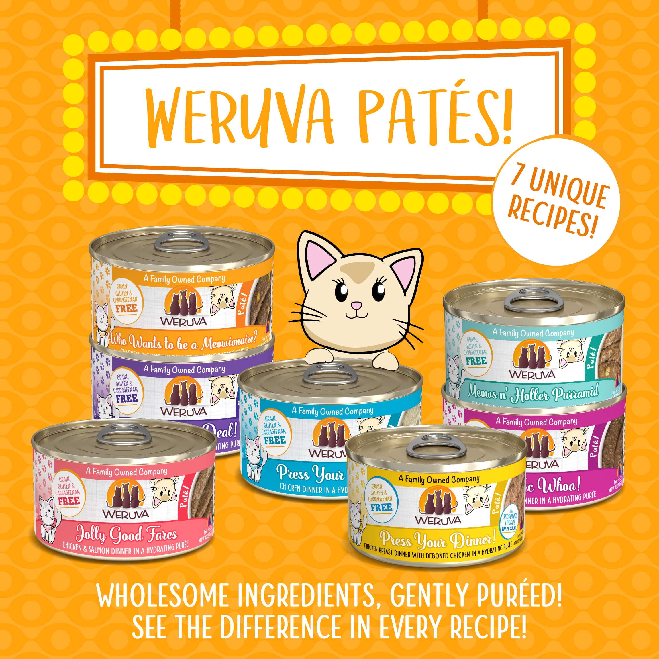 Weruva Wet Cat Food, Who Wants to be a Meowionaire with Chicken and Pumpkin Pate, 3oz Can, Pack of 12
