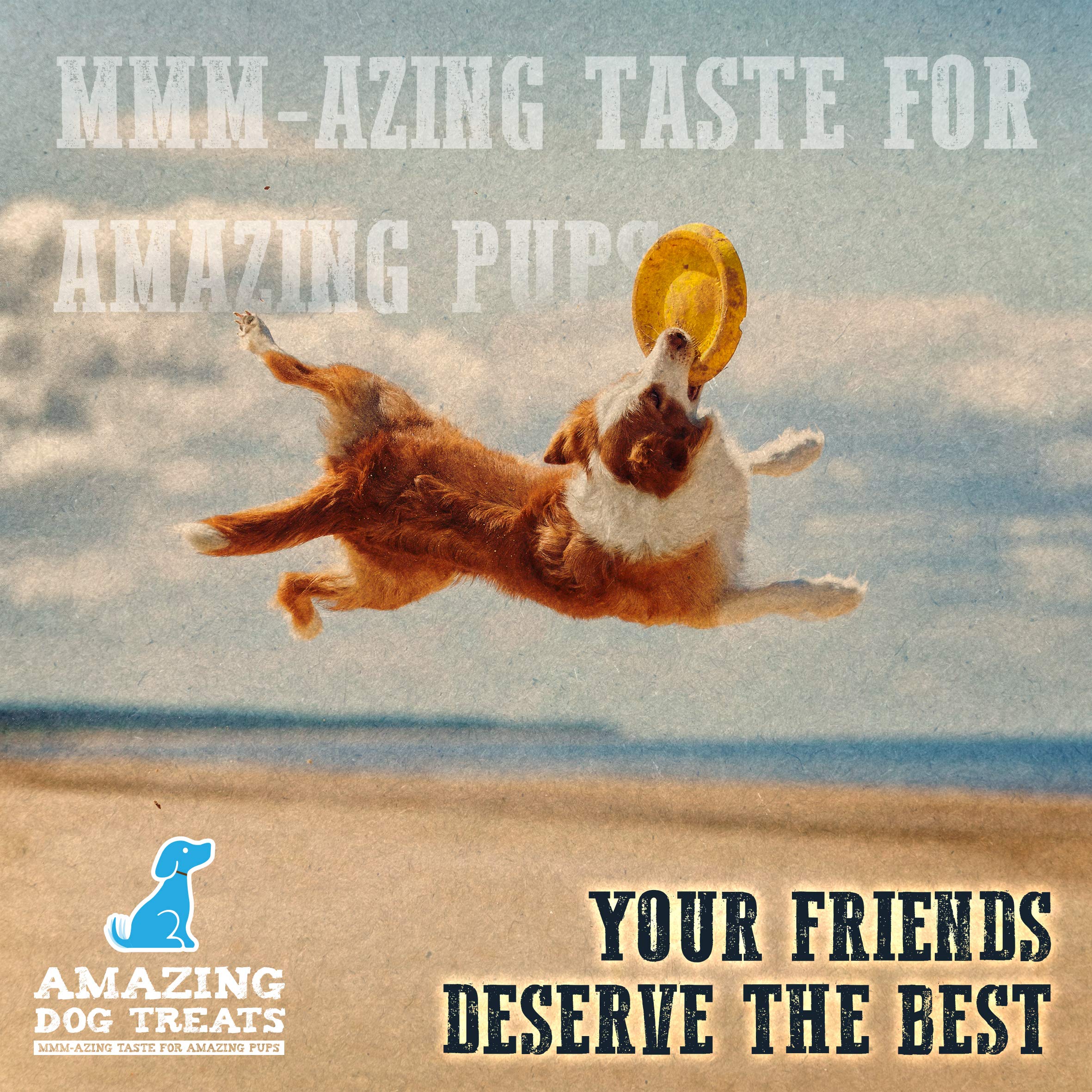 Amazing Dog Treats - Chicken Feet Dog Treats (25 Count) - All Natural Single Ingredient Chicken Feet for Dogs - Premium Quality