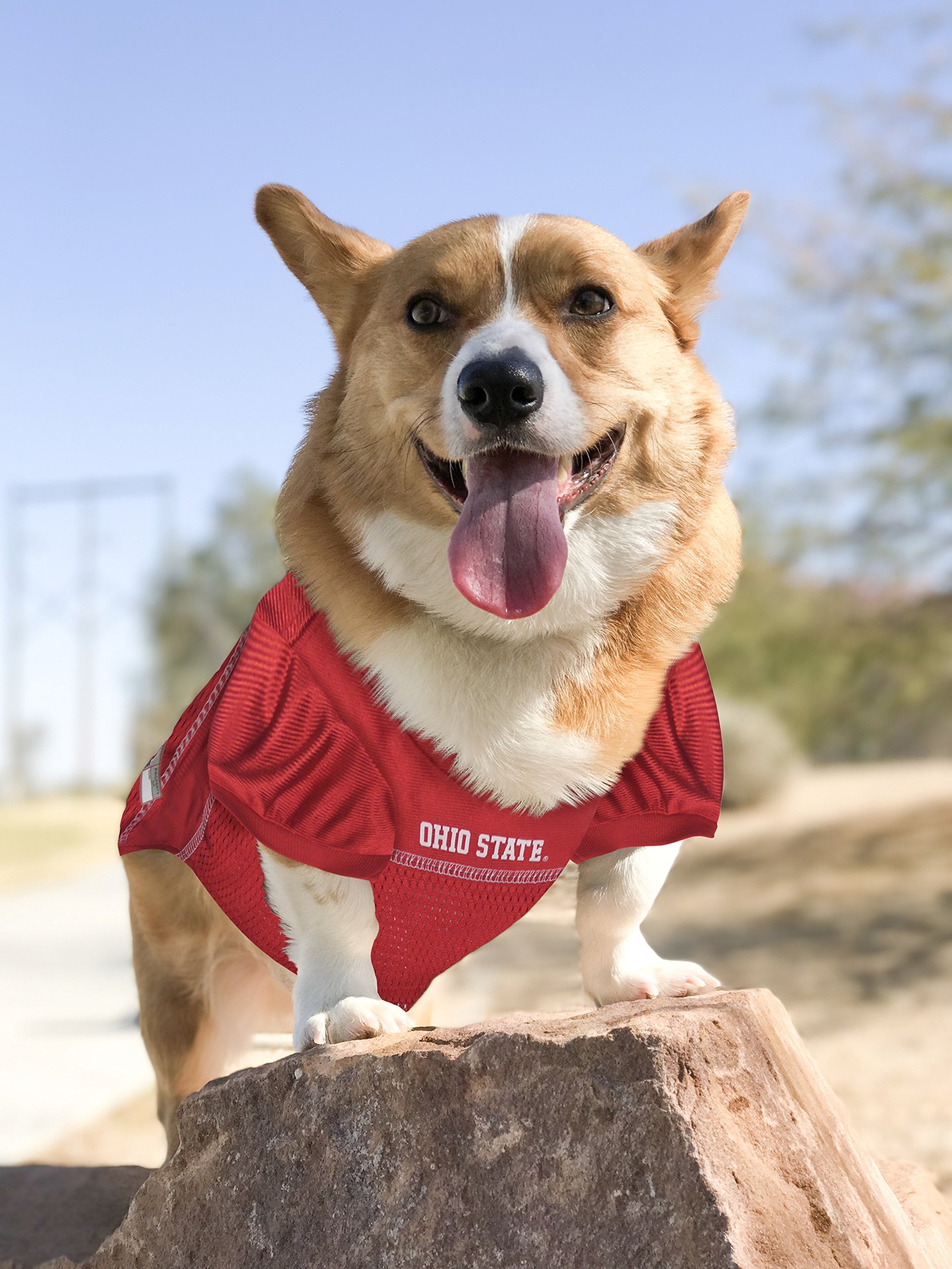 Pets First NCAA College Ohio State Buckeyes Mesh Jersey for DOGS & CATS, X-Small. Licensed Dog Jersey with your Favorite Footbal