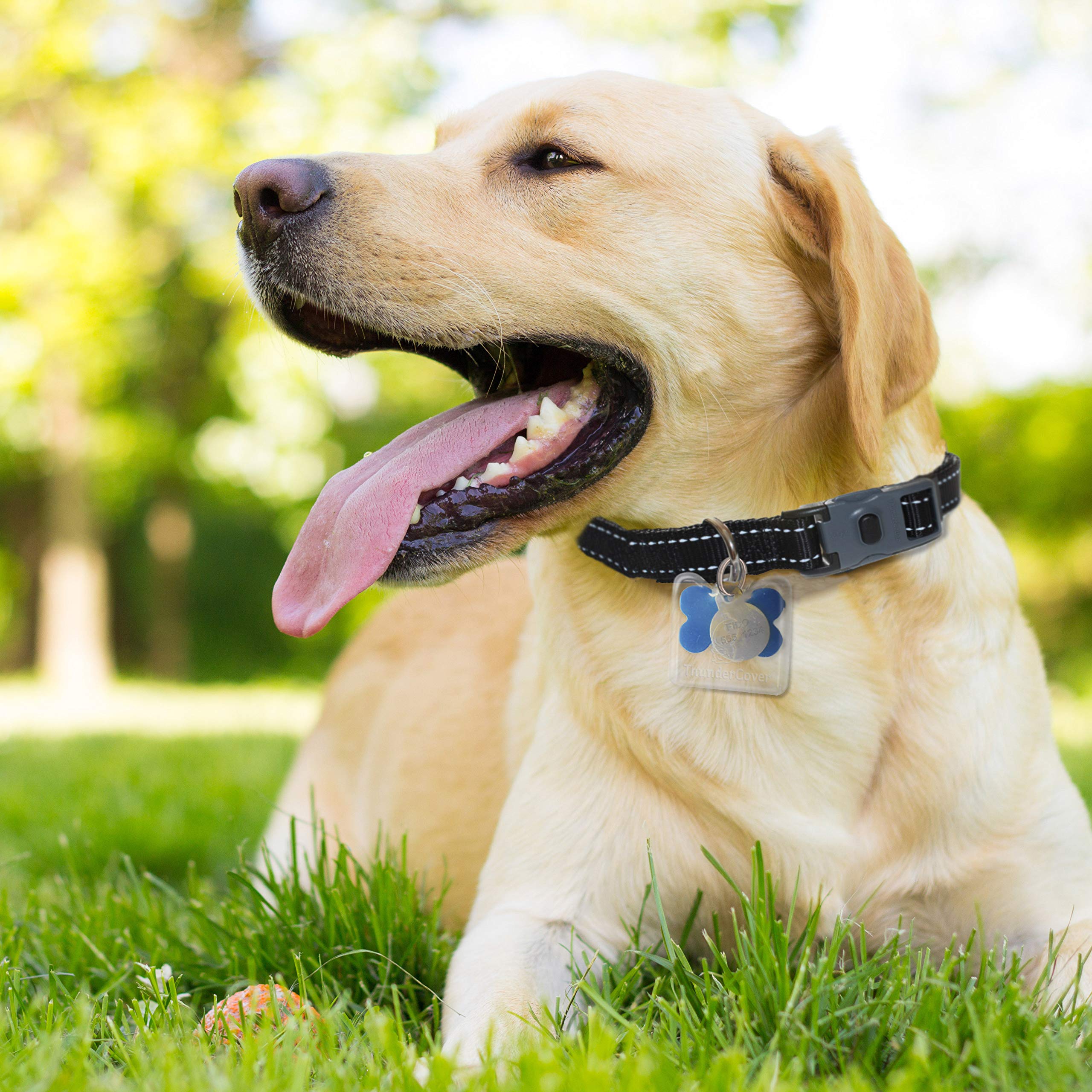 Thundercover Dog Tag Silencer, Standard, Clear