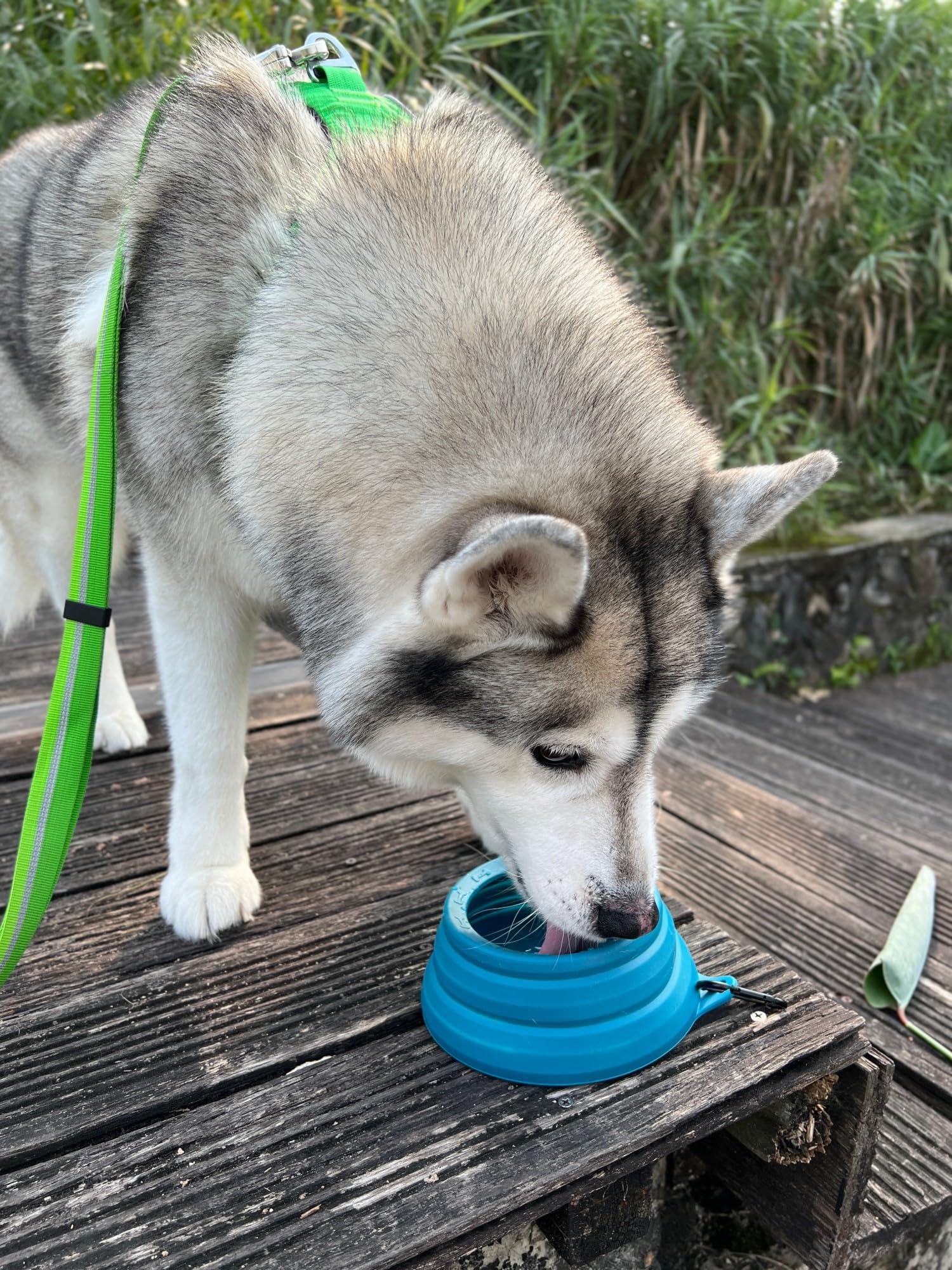 Ohmo-Collapsible Dog Water Bowl No Spill From Car Movement(24Oz Medium, Camo Green), Travel Dog Bowls, Less Splash Portable Pet Bowl For Road Trip, Cat Travel Accessories