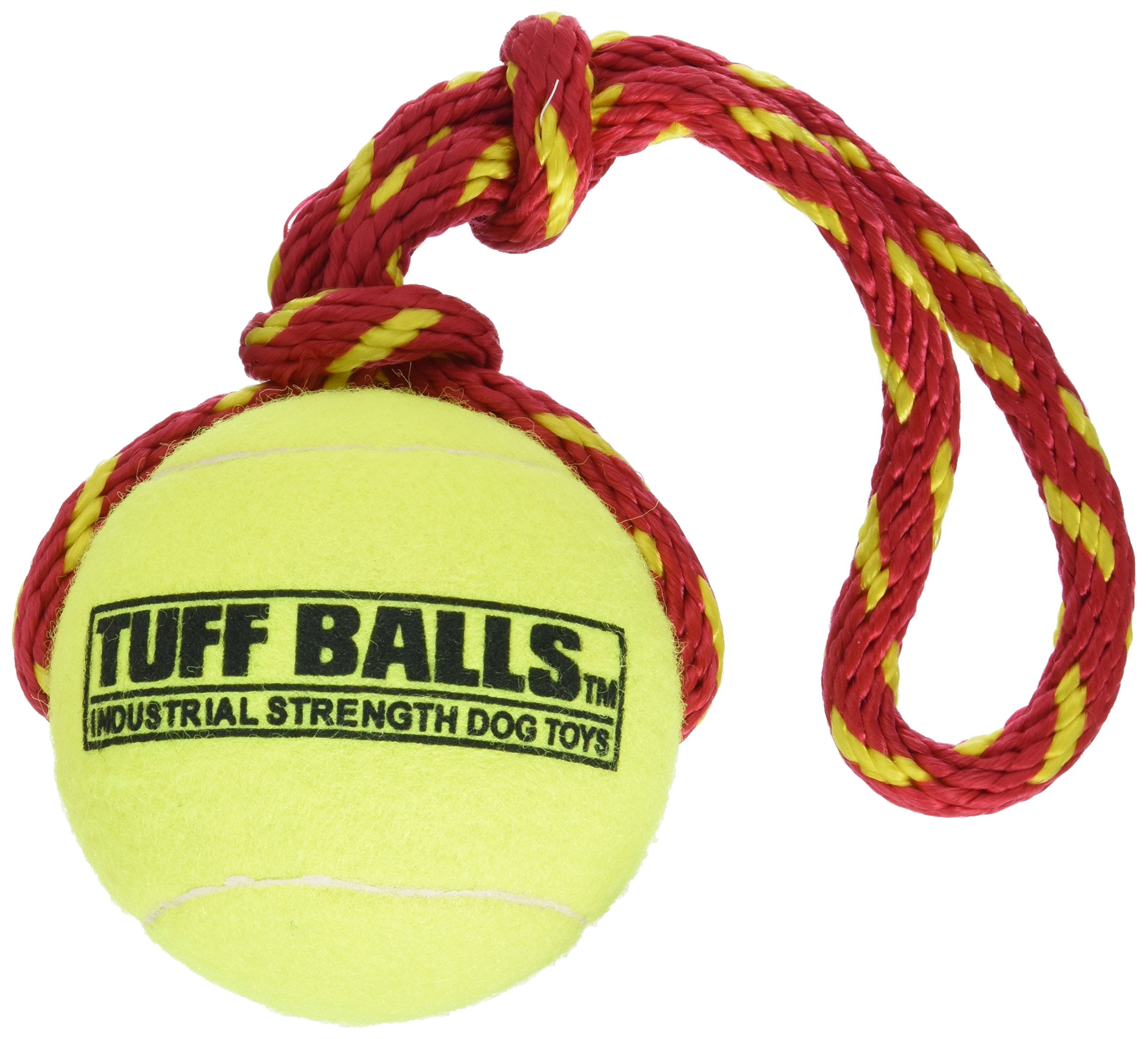 Petsport Giant Fling Thing Dog Toy, 4-Inch