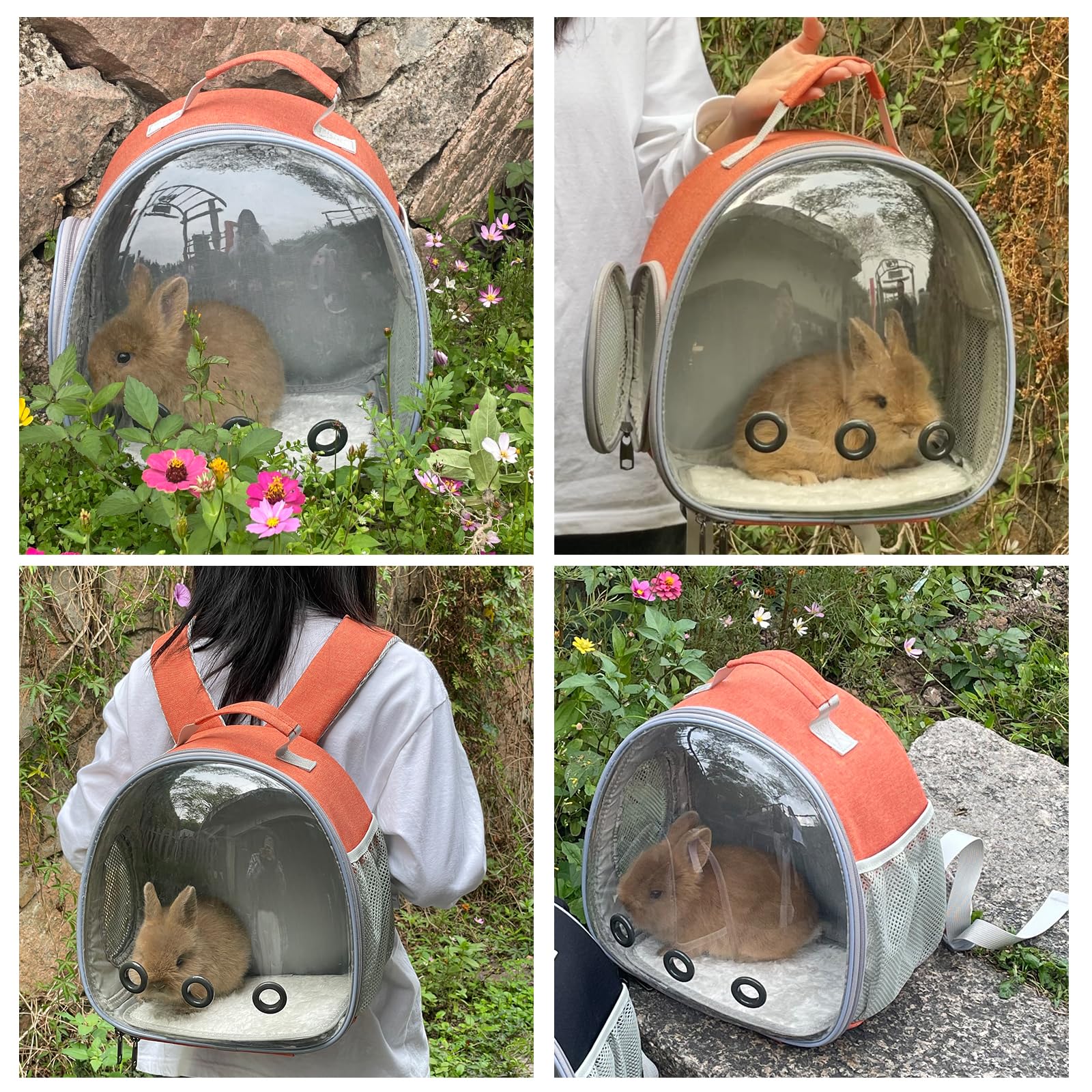 Hcupet Small Animal Carrier Backpack Space Capsule Bubble Window Carrier Backpack For Lizard Guinea Pig (Orange)
