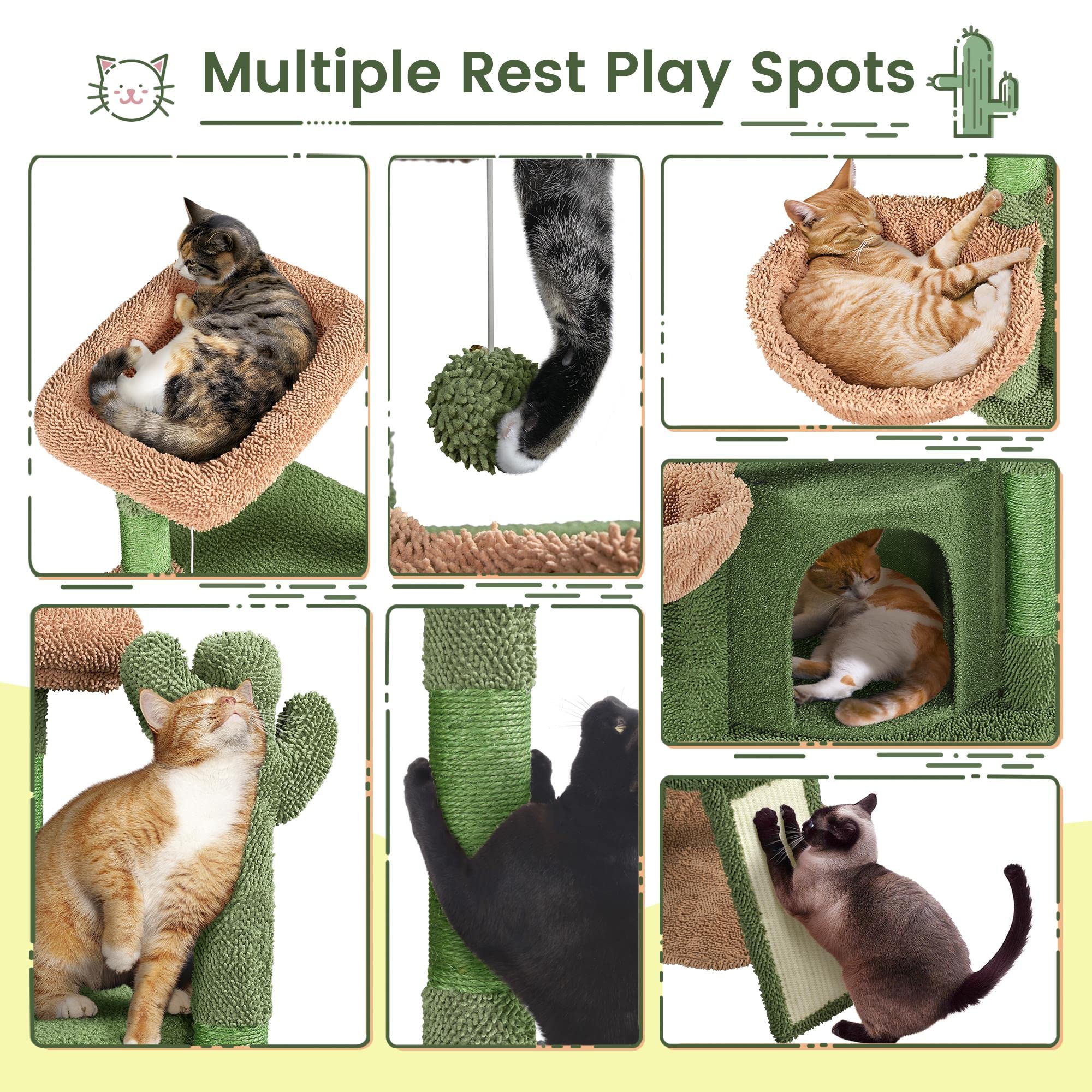 Topeakmart 42 H Cactus Cat Tree