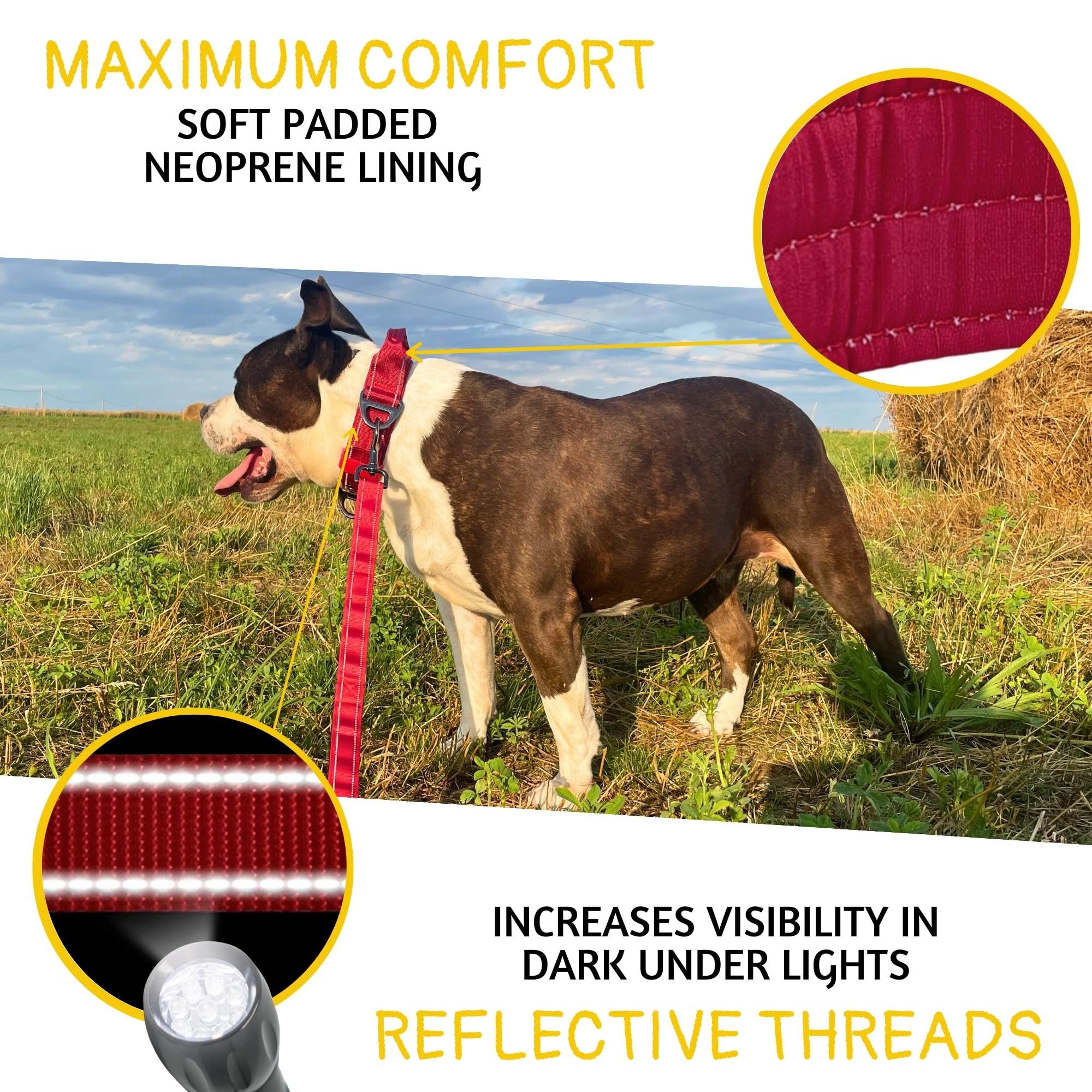 Adityna Heavy Duty Dog Collar For Extra-Large Dogs - Reflective Burgundy Collar With Handle For Training, And Walking - Wide, Th