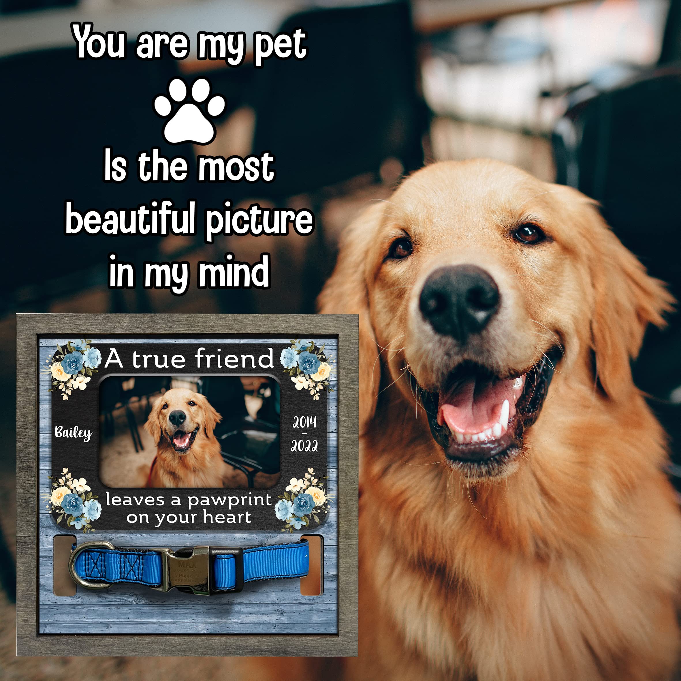 Bfigift Dog Memorial Gifts Personalized Loss Of Pet Dog Memorial Picture Frame Pet Loss Gift Dog Personalized Custom Pet Memorial Cat Picture Collar Frames Memory Boxes For Keepsakes Death Remembrance