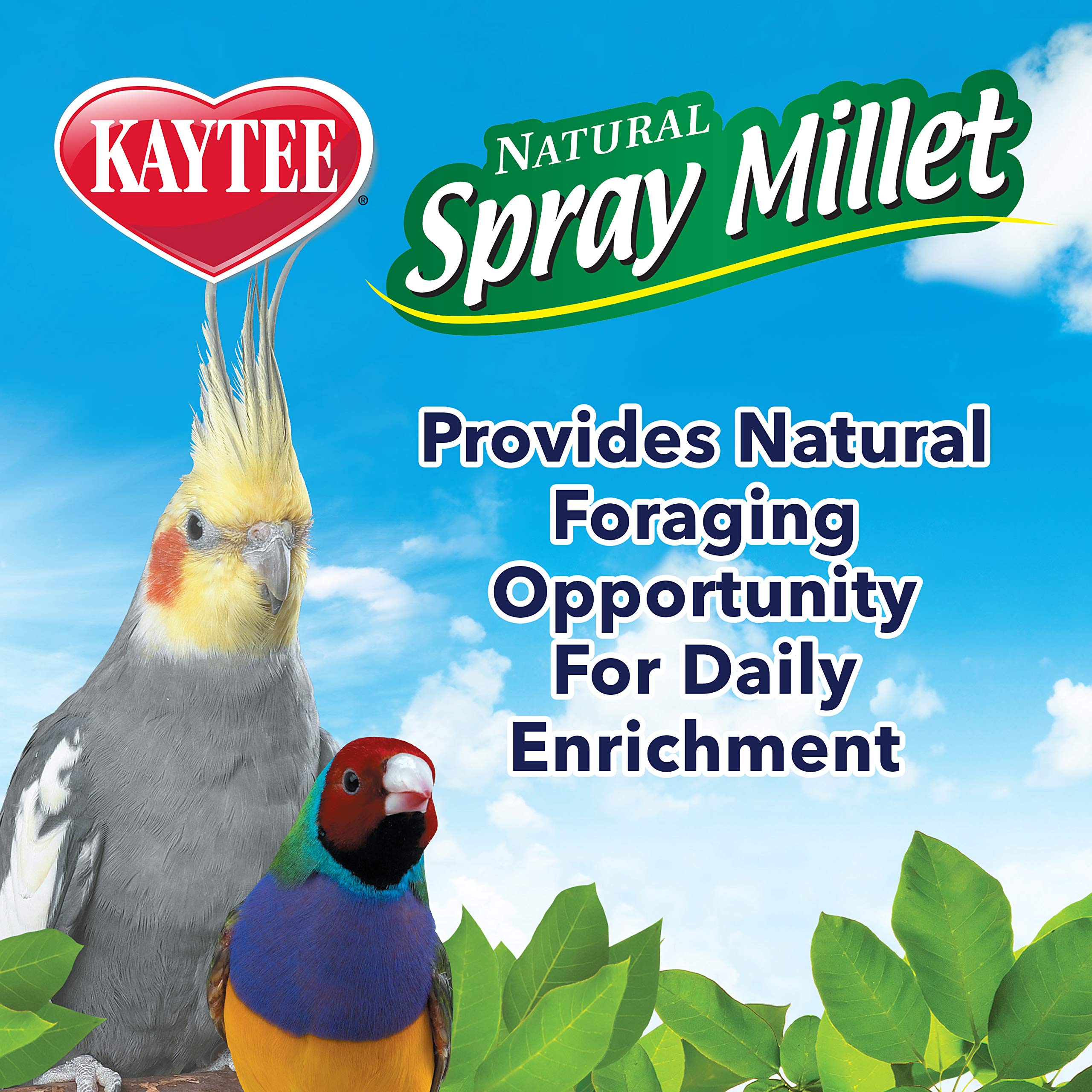 Kaytee Spray Millet Treat for Pet Birds, 7 Ounce, Cotton Material, Pack of 1