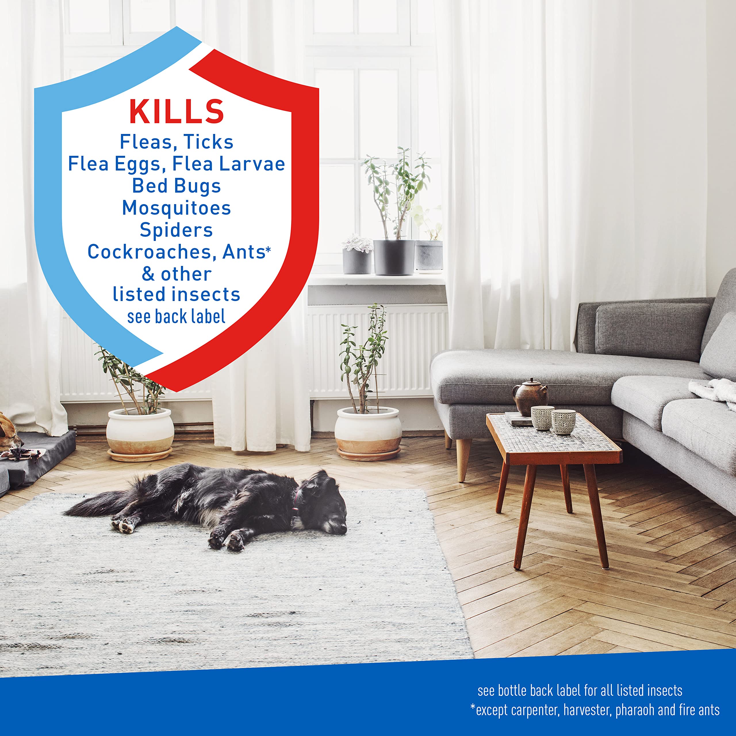 Adams Flea & Tick Home Spray with Precor, Kills Fleas, Flea Eggs, Flea Larvae, Bed Bugs, Ticks, Ants, Cockroaches, Spiders, Mosq