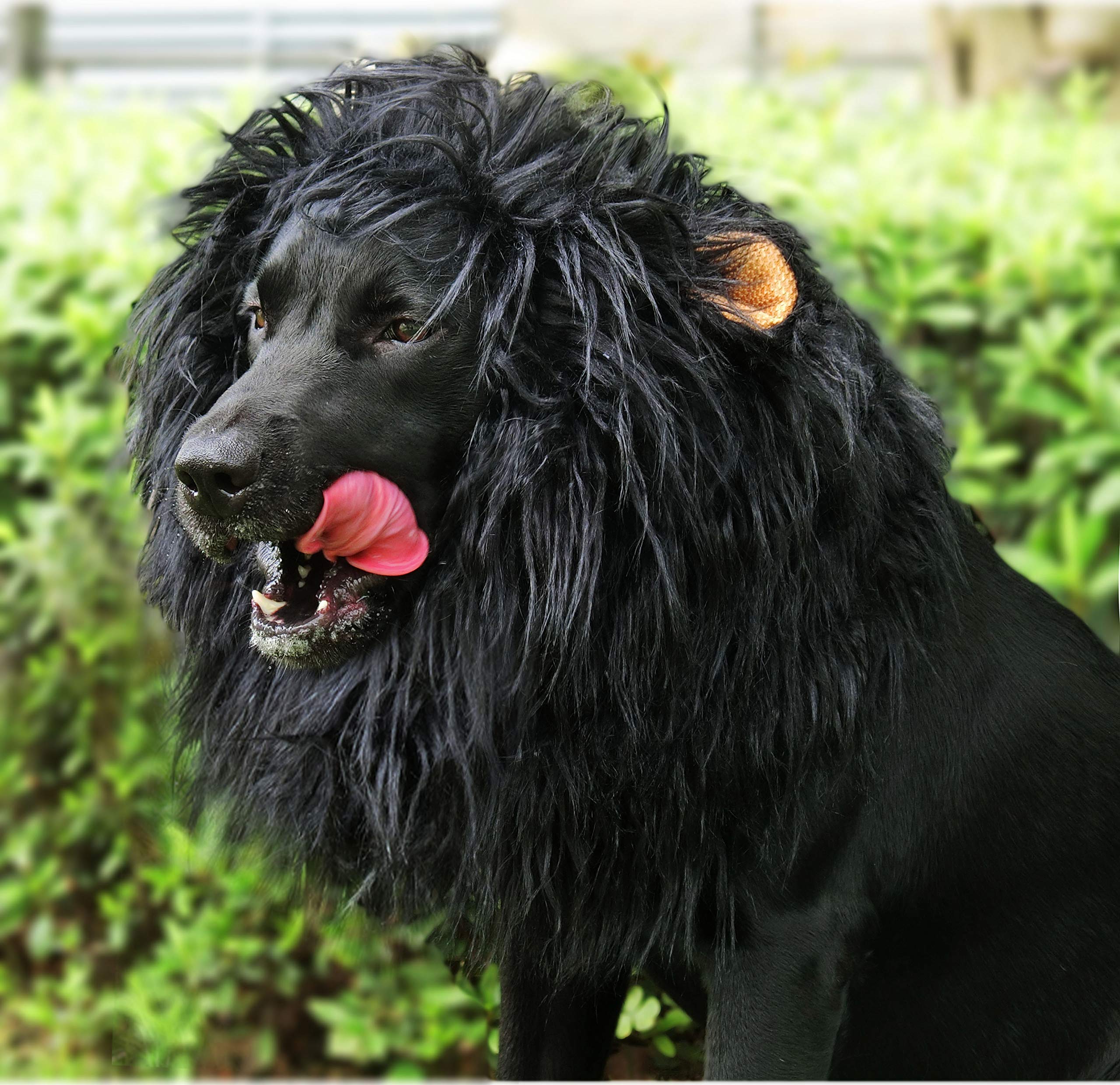 Onmygogo Lion Mane Wig For Dogs With Ears, Funny Pet Costumes For Halloween Christmas (Size L, Black)
