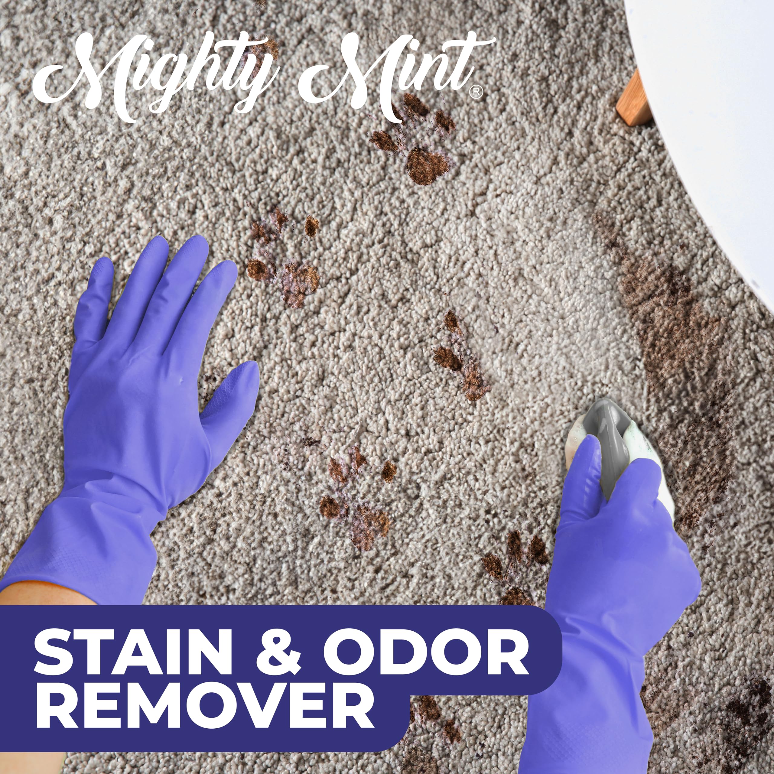 Mighty Mint Stain & Odor Remover, Natural Enzyme Spray Safely Neutralizes Odor And Stains From Dogs, Cats On Carpet, Furniture,