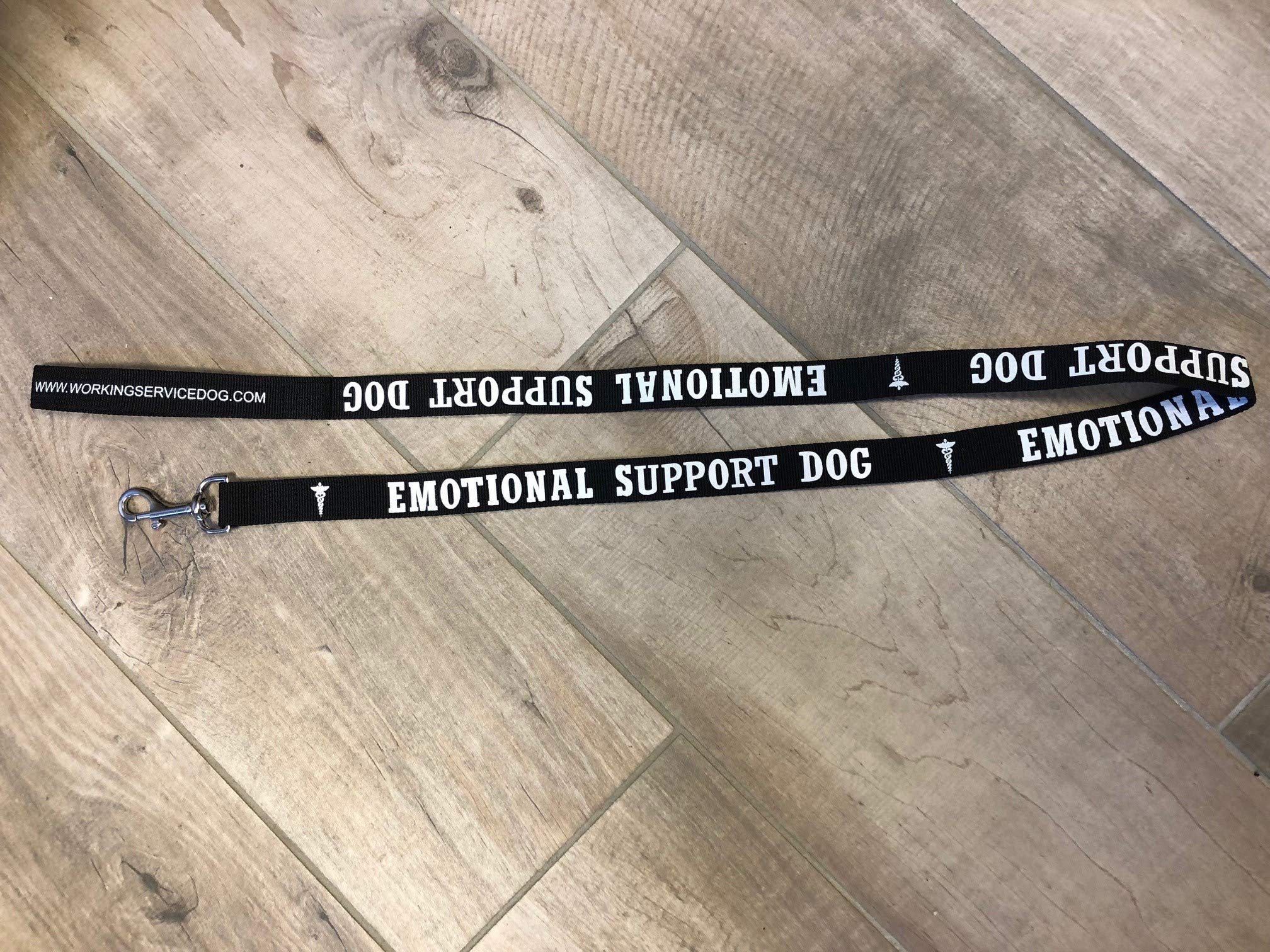 Workingservicedog.Com Emotional Support Dog Leash - Great Identification With Or Without An Emotional Support Animal Vest - Includes Five Esa Information Cards