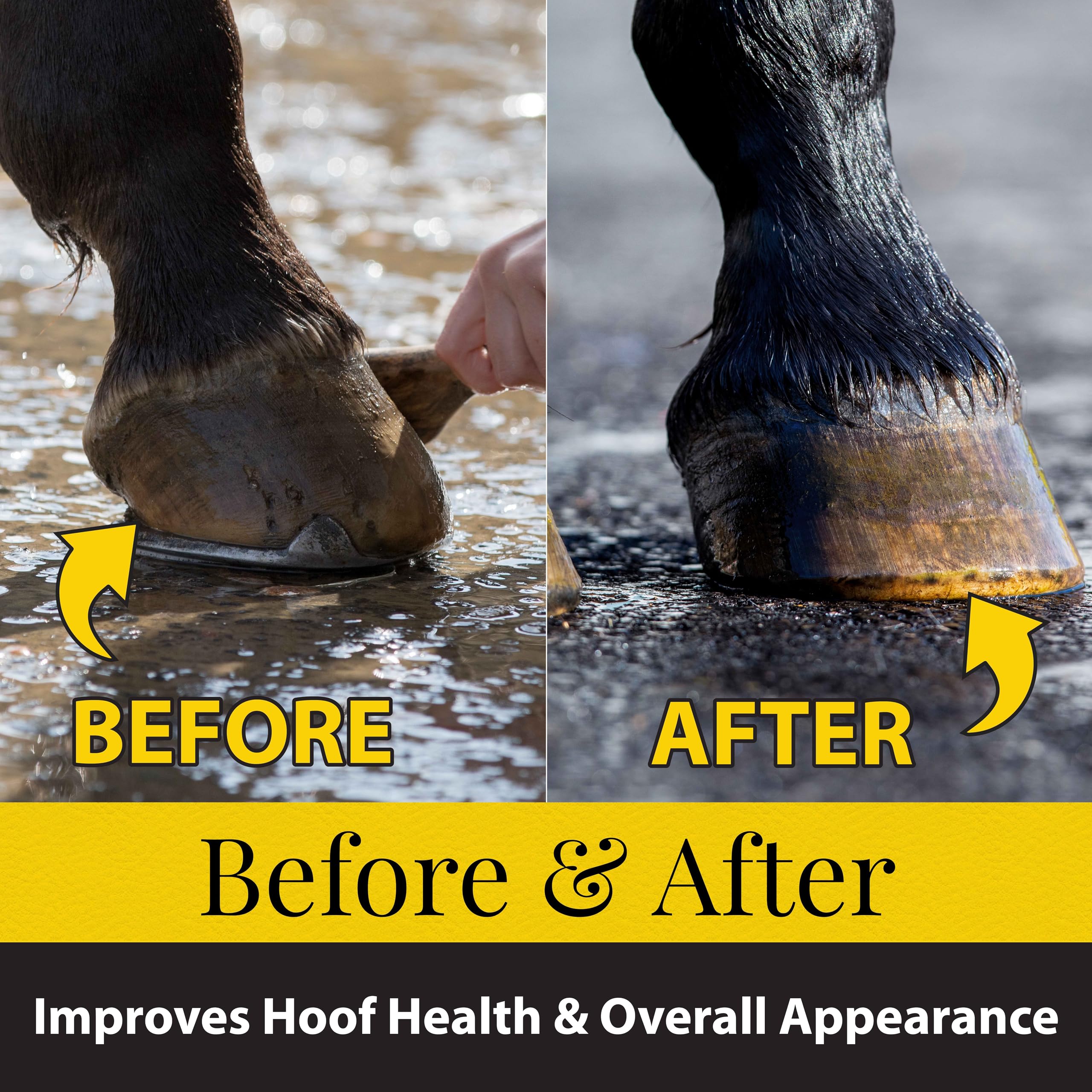 Fiebings Hoof Oil for Horses With Mineral Oil (32 oz) - Hoof Dressing With Applicator Brush to Condition Dry, Split Hooves & Co