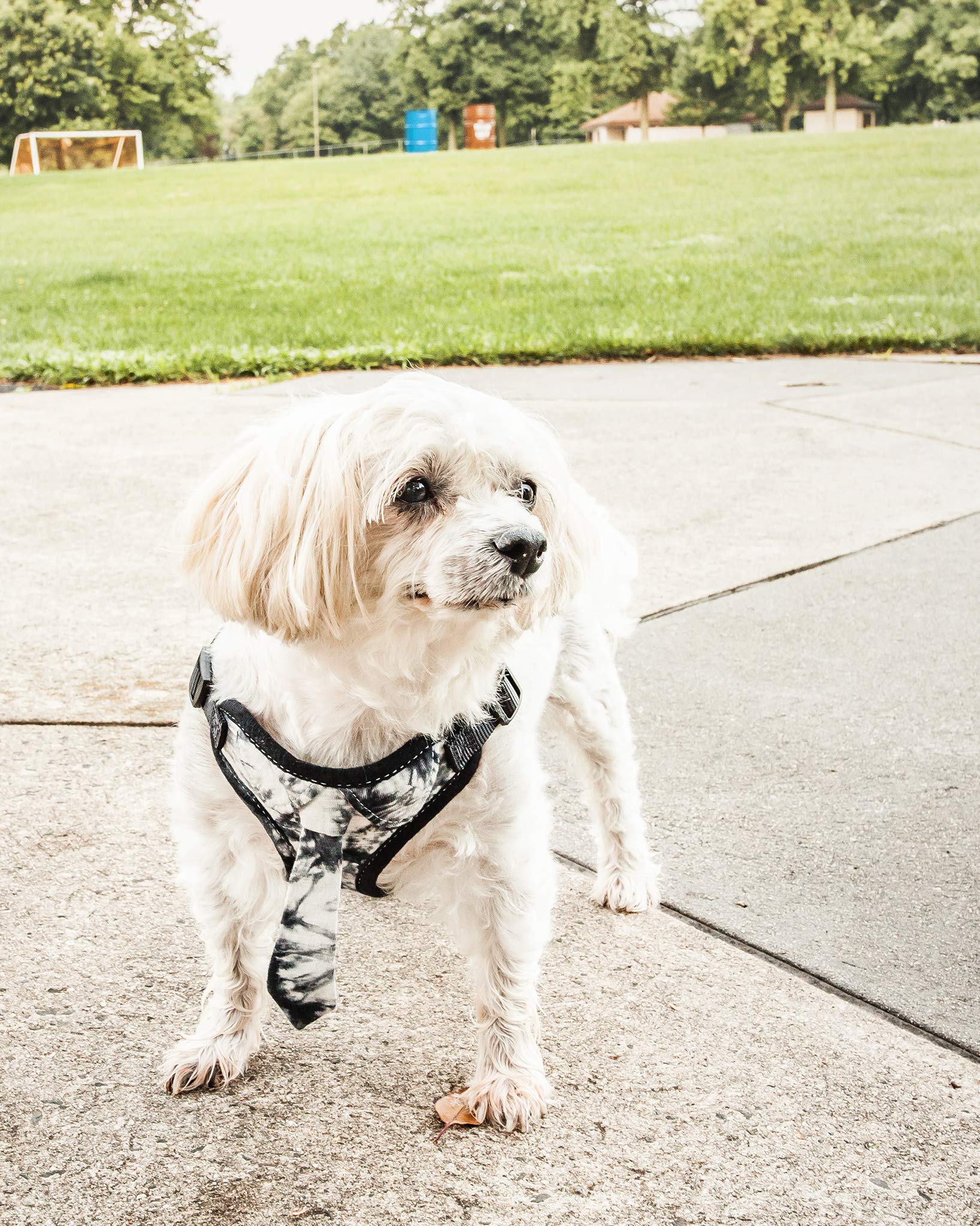 Pet Life Bonatied Mesh Reversible And Breathable Adjustable Dog Harness W/Designer Neck Tie, Small, Camo