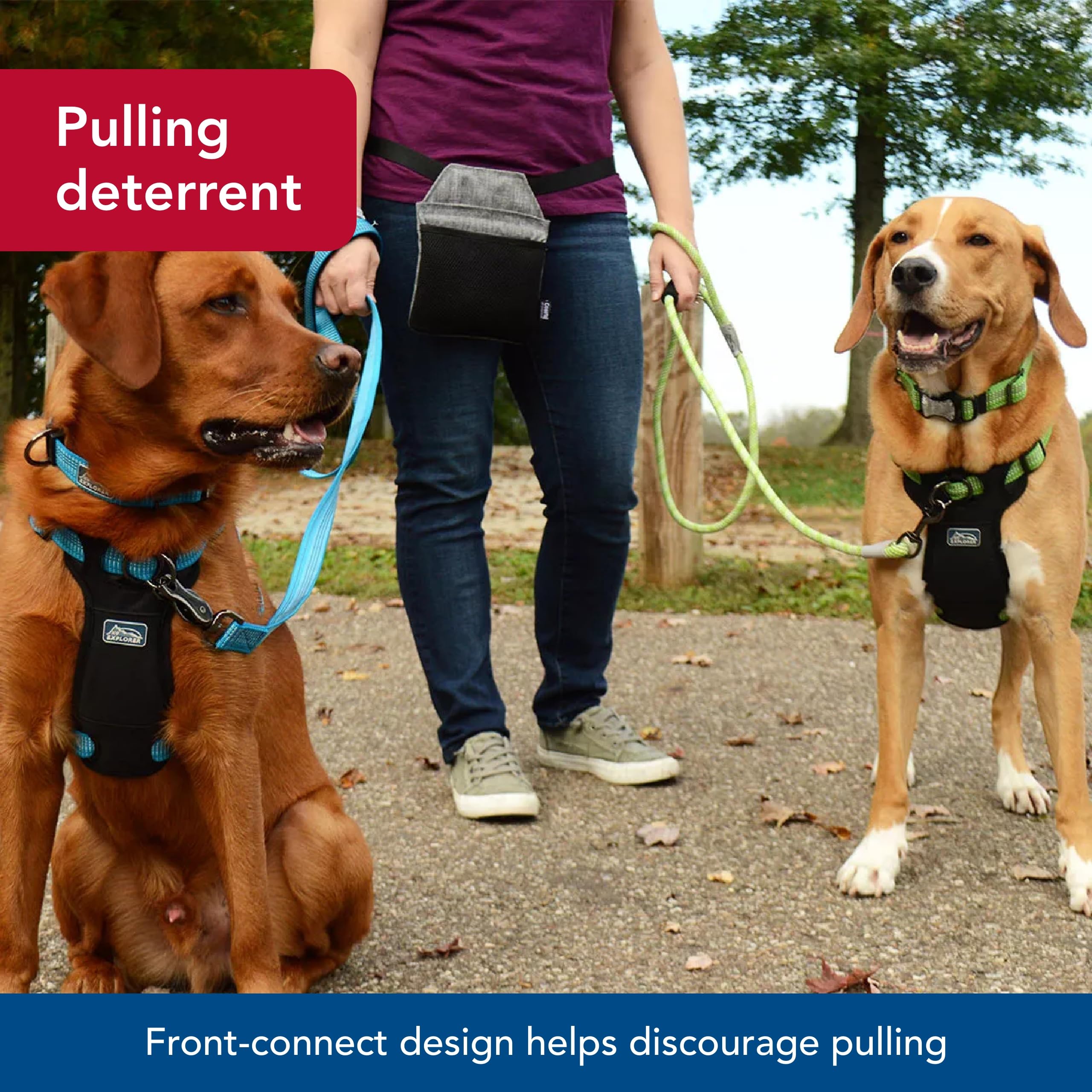 Coastal - K-9 Explorer - Brights Reflective Front-Connect Harness, Desert, 1'' X 26''-38''