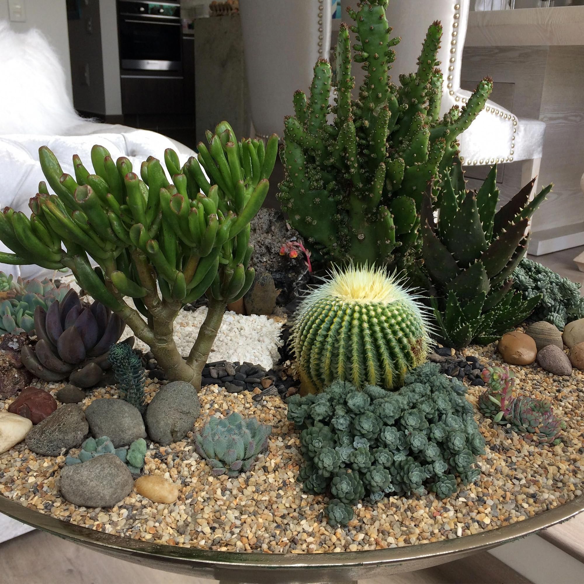 VINICS 10 lbs Aquarium Gravel, 3-6mm Fish Tank Gravel, Succulent Cactus Pea Gravel for Indoor Plants, River Rocks for Gardening,