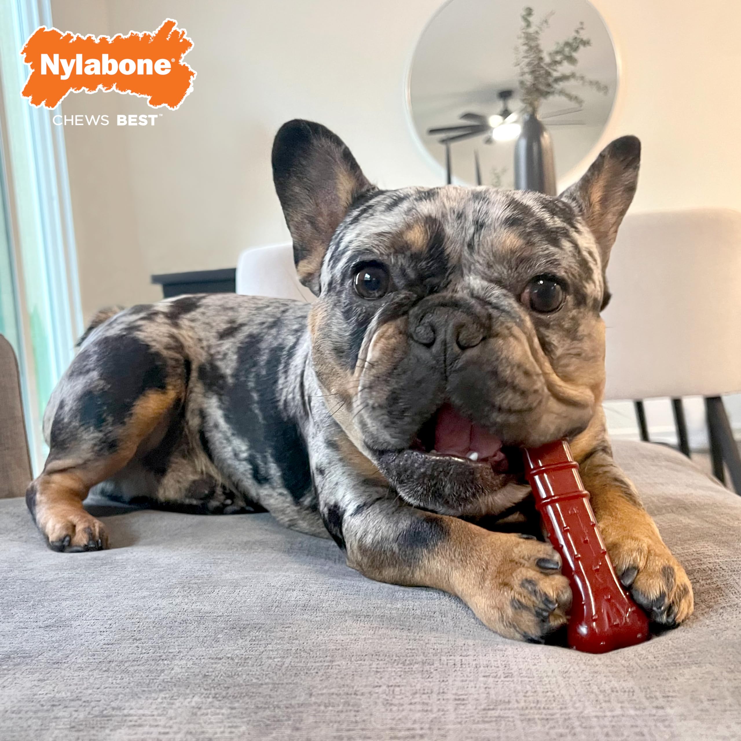 Nylabone Basted Blast Textured Bone Power Chew Toy For Dogs, Dog Toys For Aggressive Chewers, Bacon & Steak Flavor, Medium - Up To 35 Lbs, 1 Count