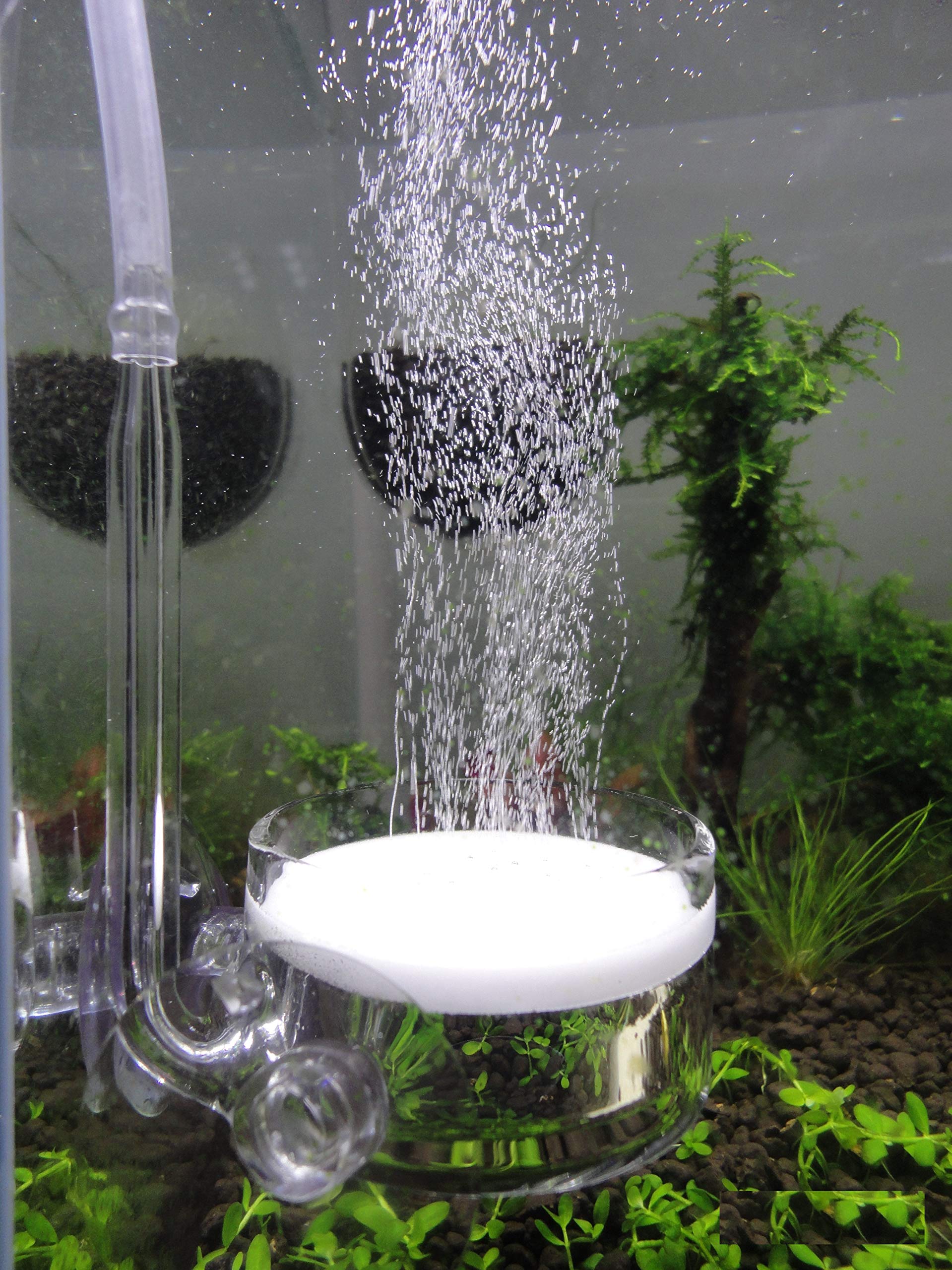 Jardli Pollen Glass Co2 Diffuser With U-Shape Connecting Tube For Aquarium Planted Tank (2'' For 50-80 Us Gallons)