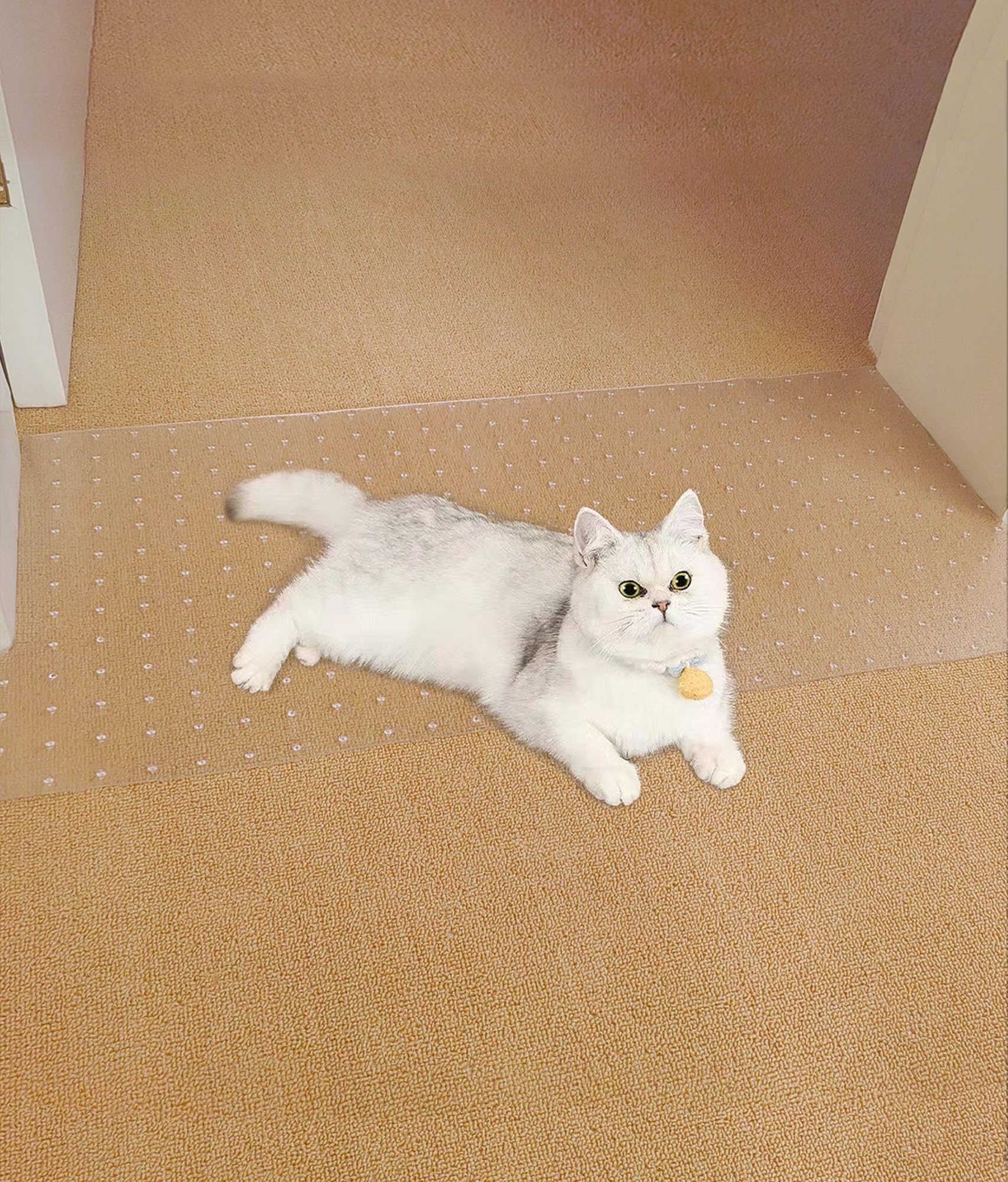 Syandlvy 2 Pack Carpet Protector For Pets, Cat Scratching Pads For Doorway, Anti Scratch Under Door, Kittens Scratch Stopper Mat