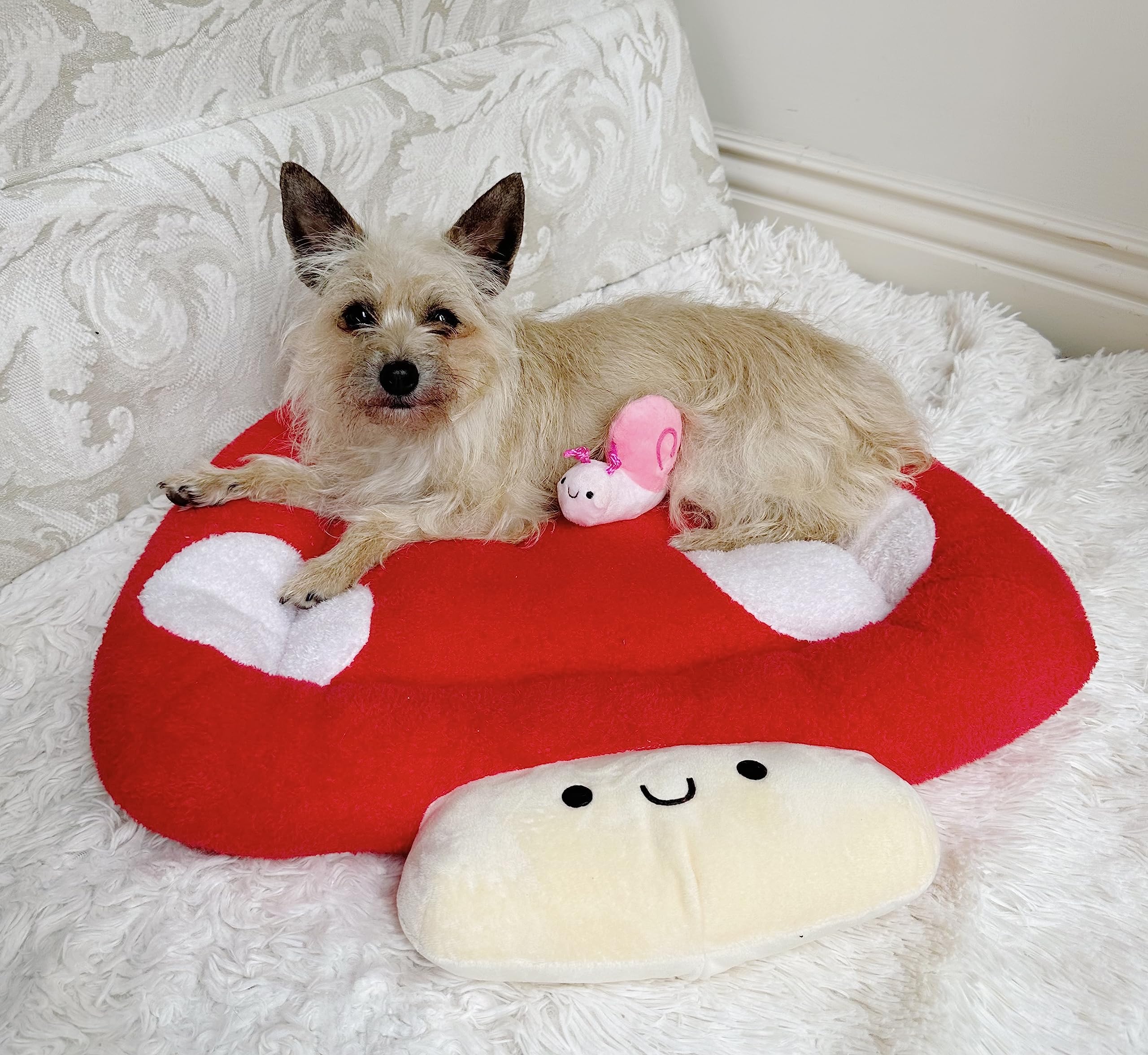 Tonbo Soft Plush Small Cute And Cozy Nature Dog Cat Bed, Washer And Dryer Friendly (Mushroom)