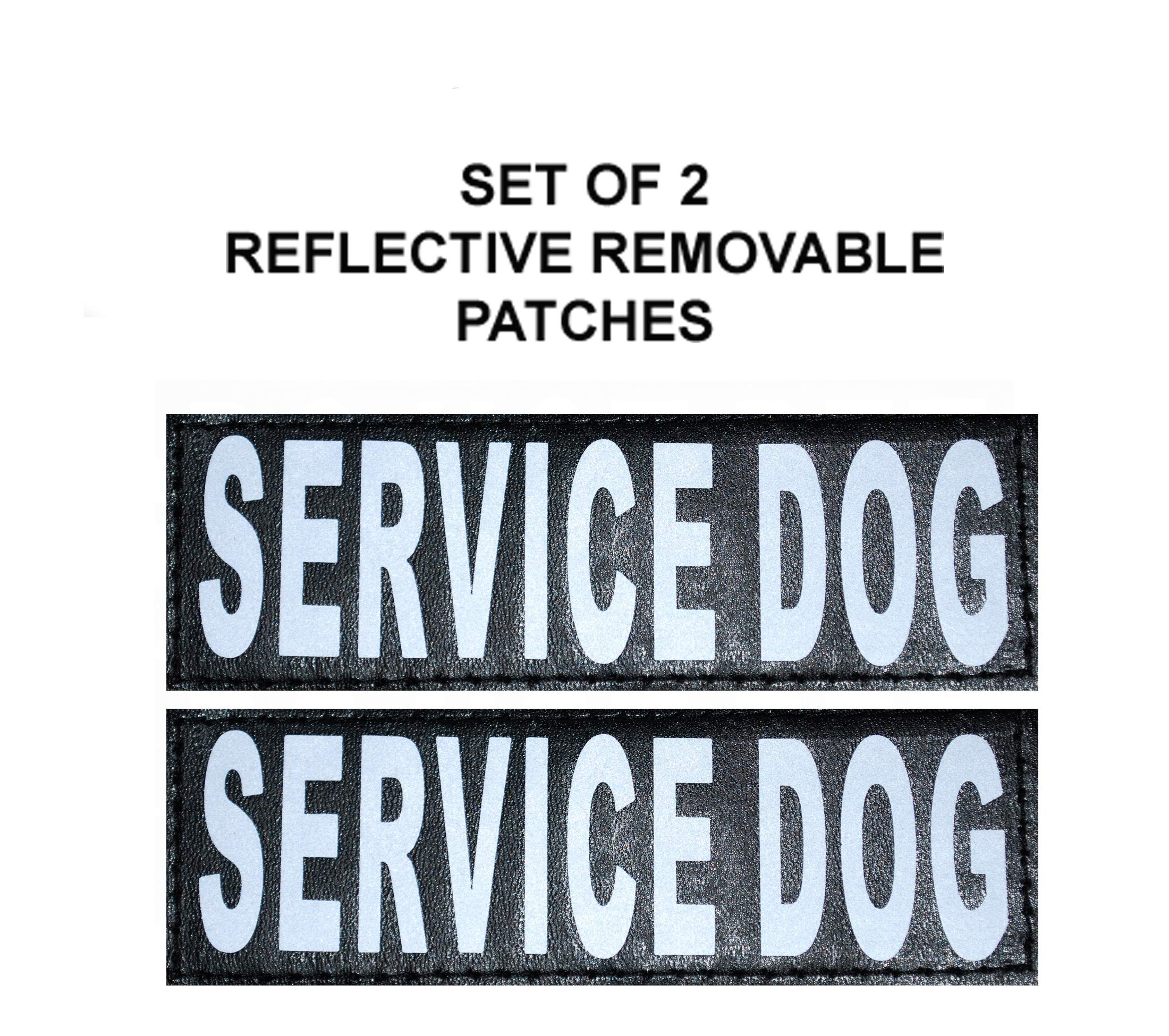 Doggie Stylz Service Dog Vest - Durable And Reflective Service Dog Harness, Adjustable Service Animal Vest For Dogs, Xxs, Xs, Medium, And Large Sizes - Comfortable Dog Service Vest For Working Dogs