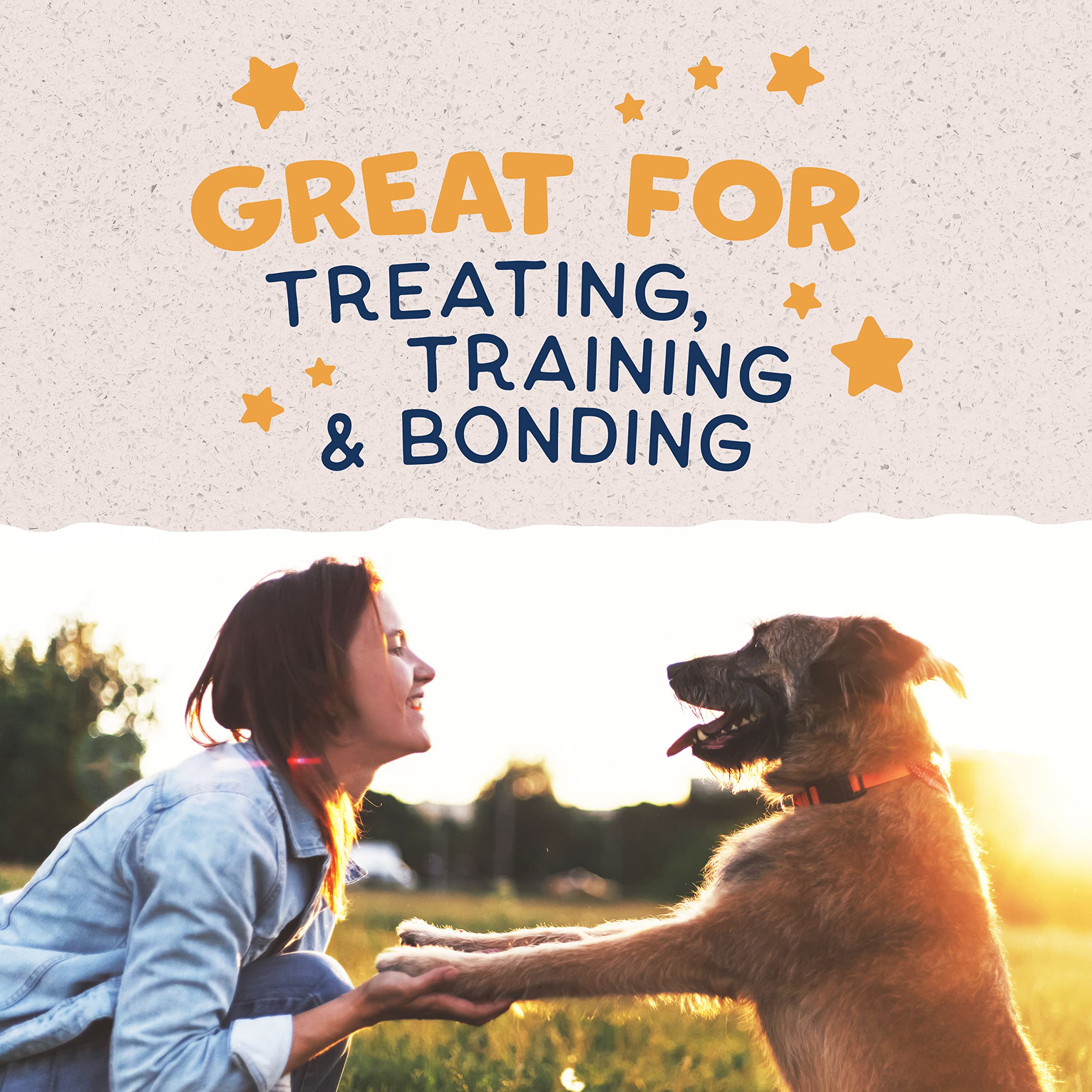 Natural Balance Limited Ingredient Rewards Jumpin Stix, Grain-Free Dog Treats for Adult Dogs of All Breeds, Duck Recipe, 10 Oun