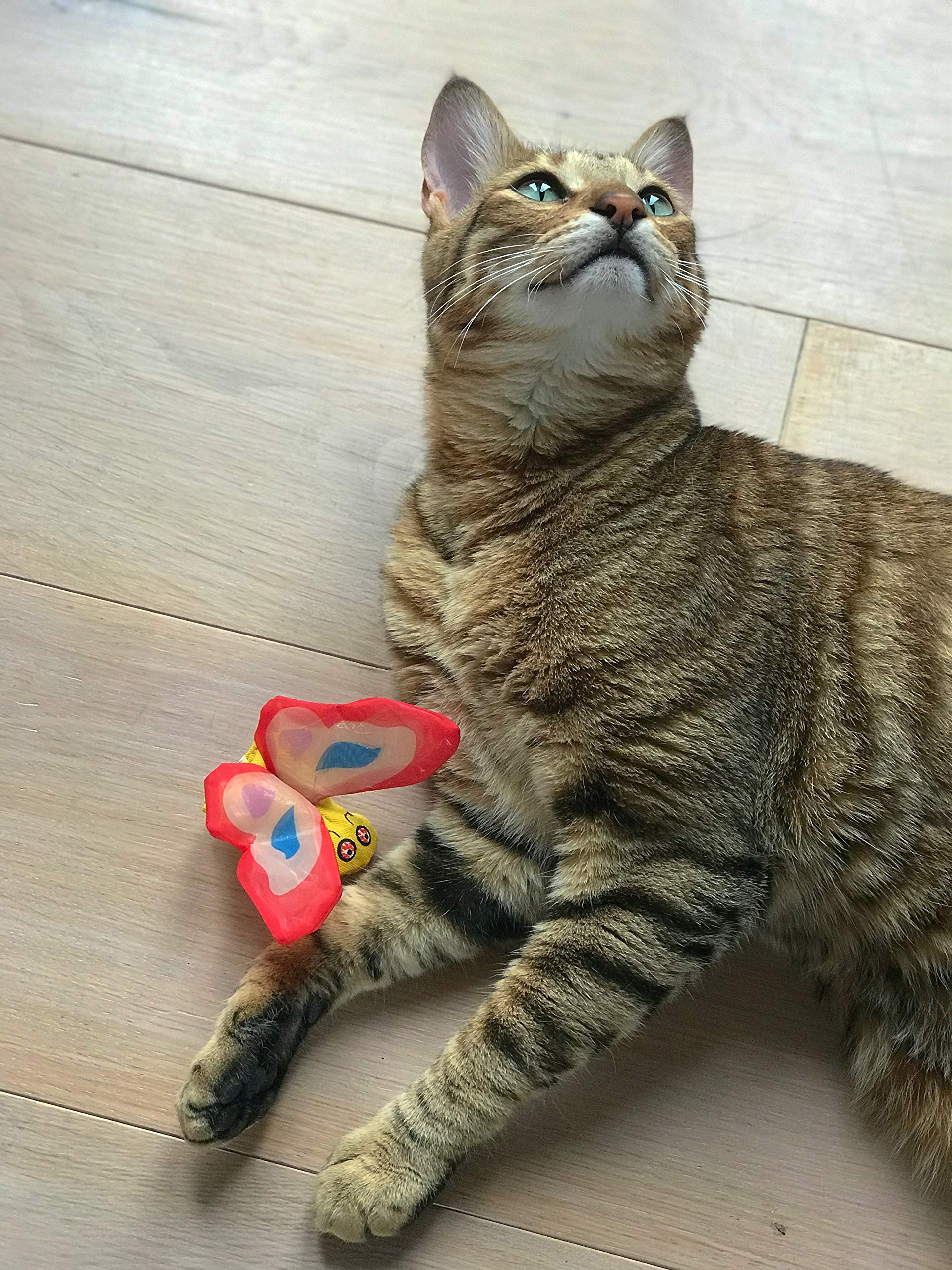 Yeowww! Organic Very Strong Crinkle Catnip Cat Toy (1 X Red L6Cm H 7Cm)