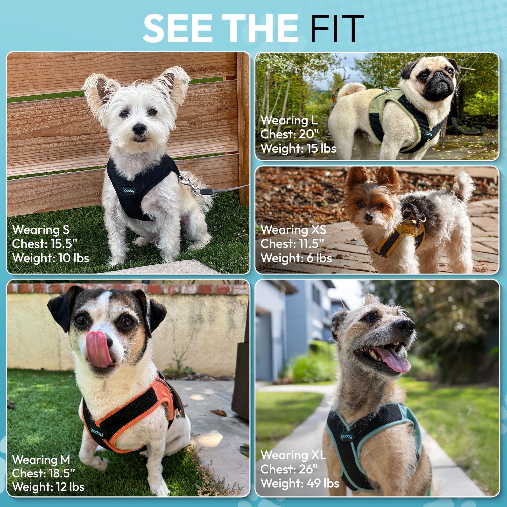 Gooby Escape Free Easy Fit X In Dog Harness - Seattle Blue, Medium