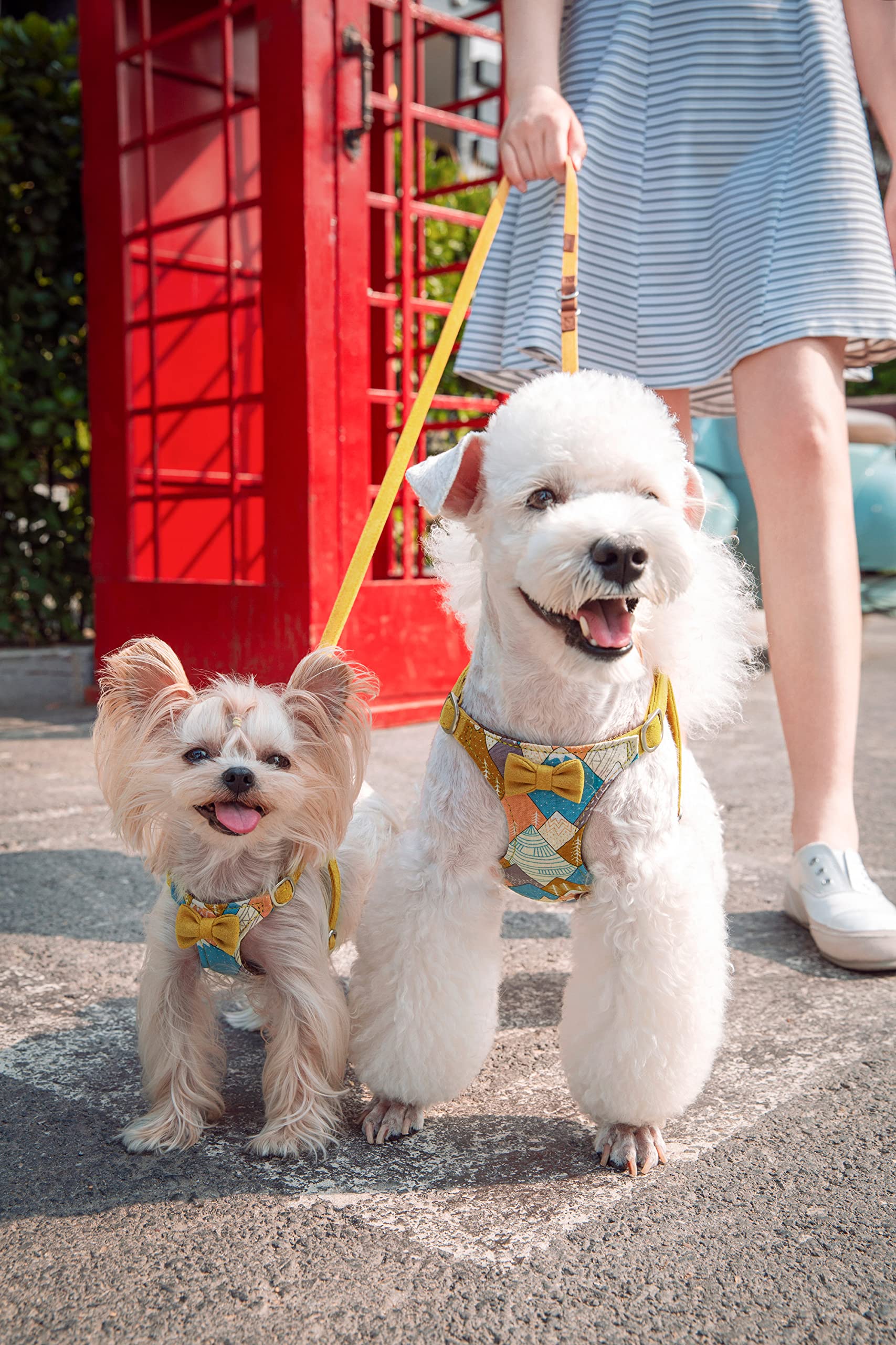 Puppytie No Pull Xs Dog Harness With Multifunction Dog Leash,Soft Adjustable No Choke Escape Proof Pet Harness Vest,Suede Bow Ye