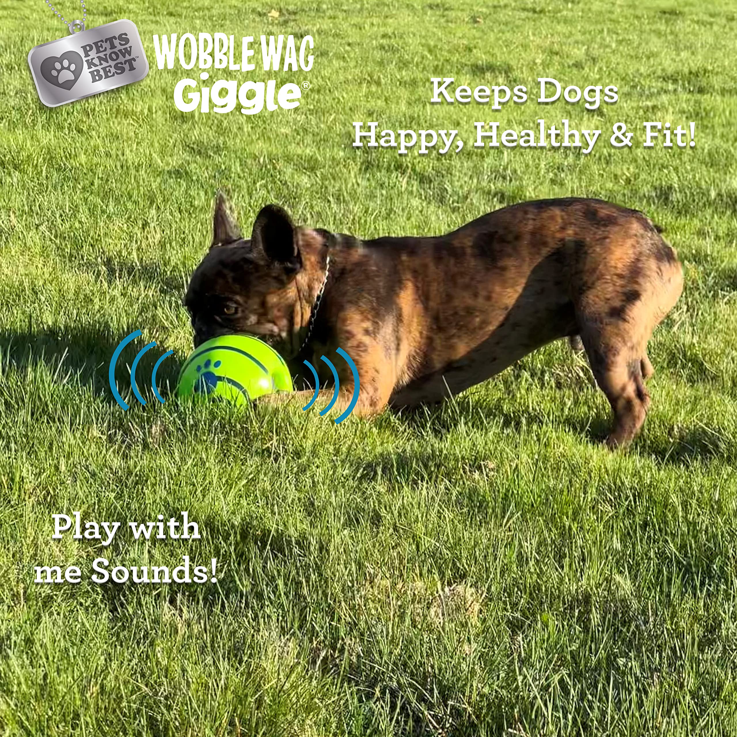 Wobble Wag Giggle Ball 2 Pack- Interactive Dog Toy, Fun Giggle Sounds When Rolled Or Shaken, Pets Know Best, 1 Original & 1 Glow In The Dark Ball