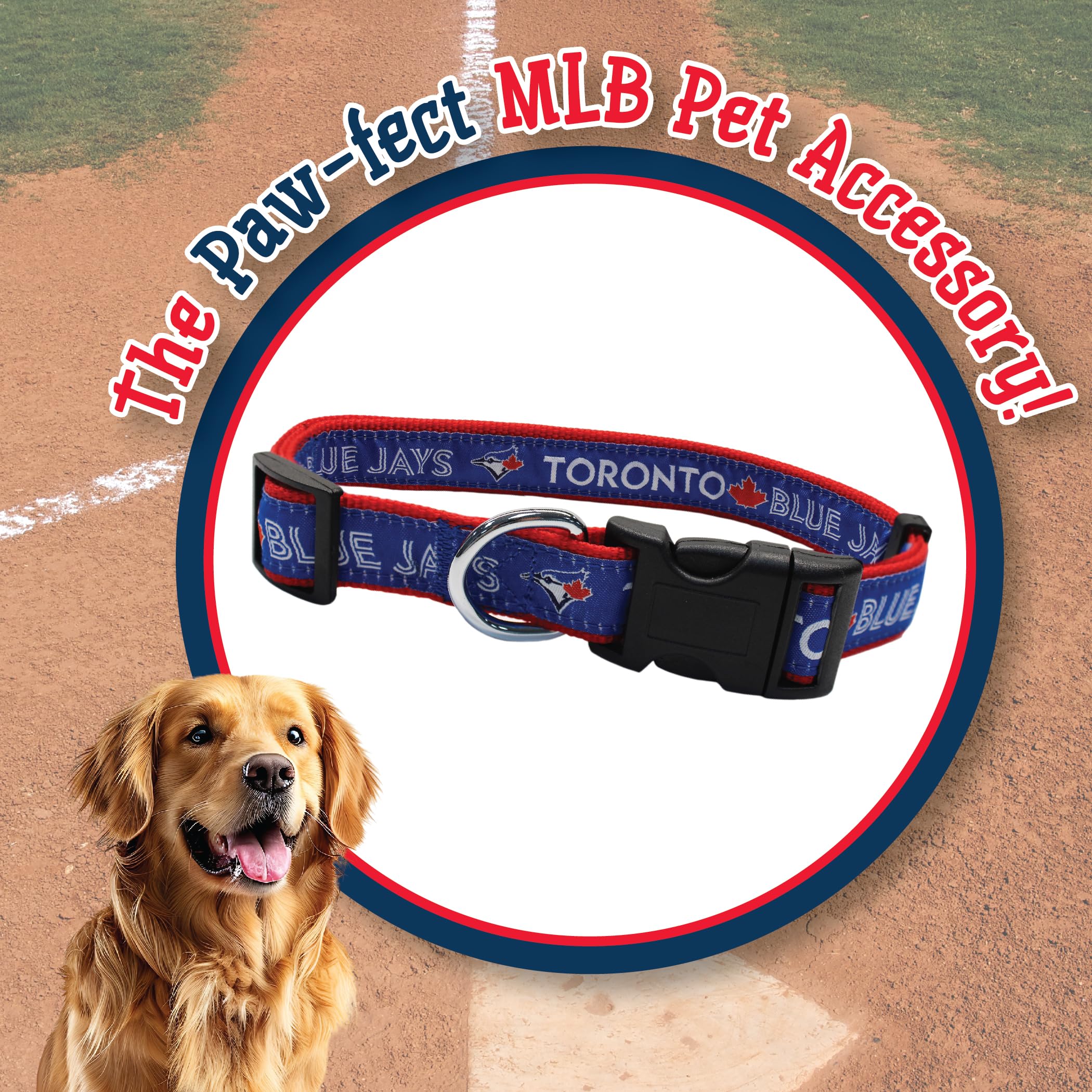 Mlb Toronto Blue Jays Collar, Large, Large, Team Color