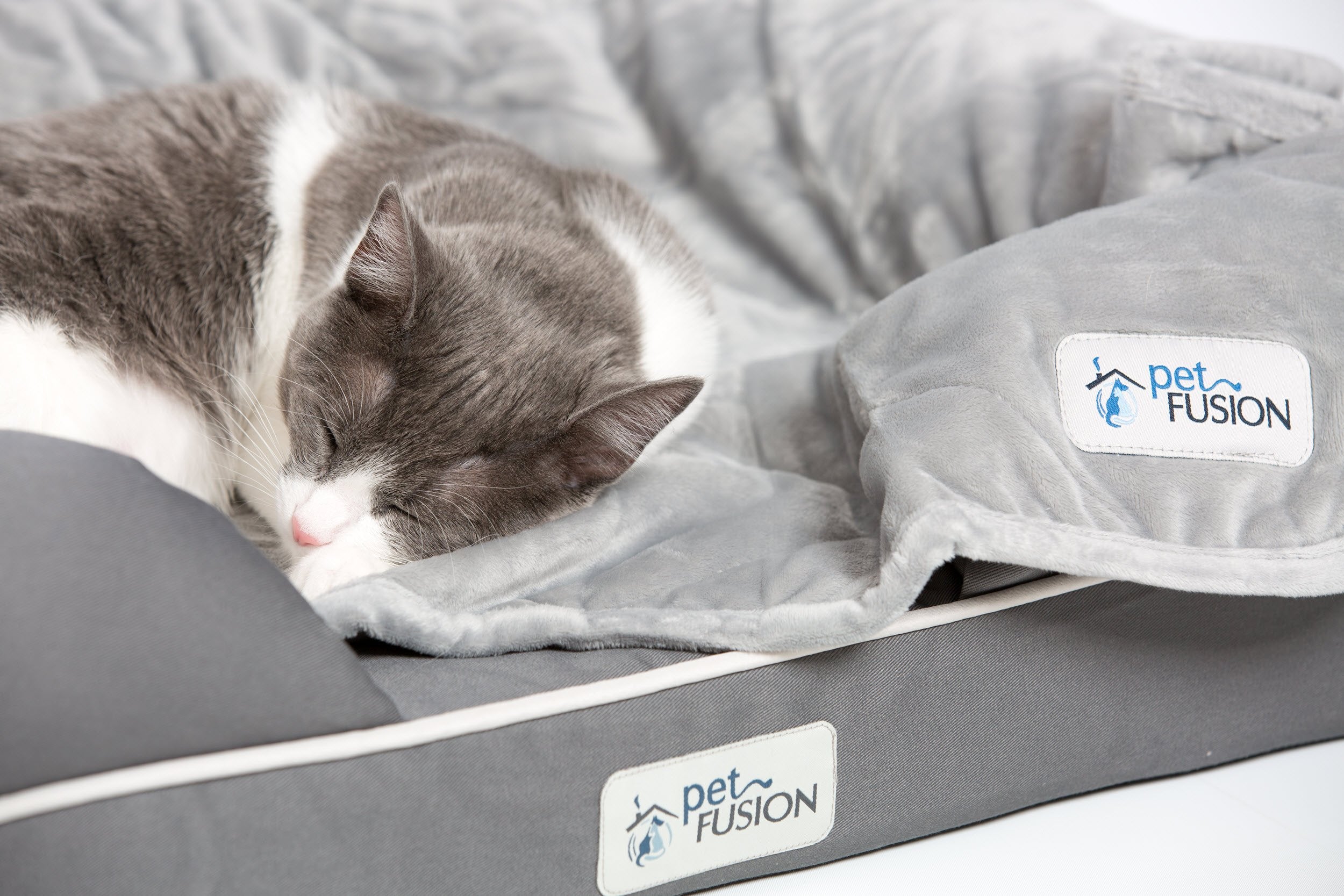 Petfusion Premium Plus Quilted Pet Blanket Blanket, Multiple Sizes For Dogs & Cats. [Light Inner Fill 70Gsm, Reversible Gray Mic