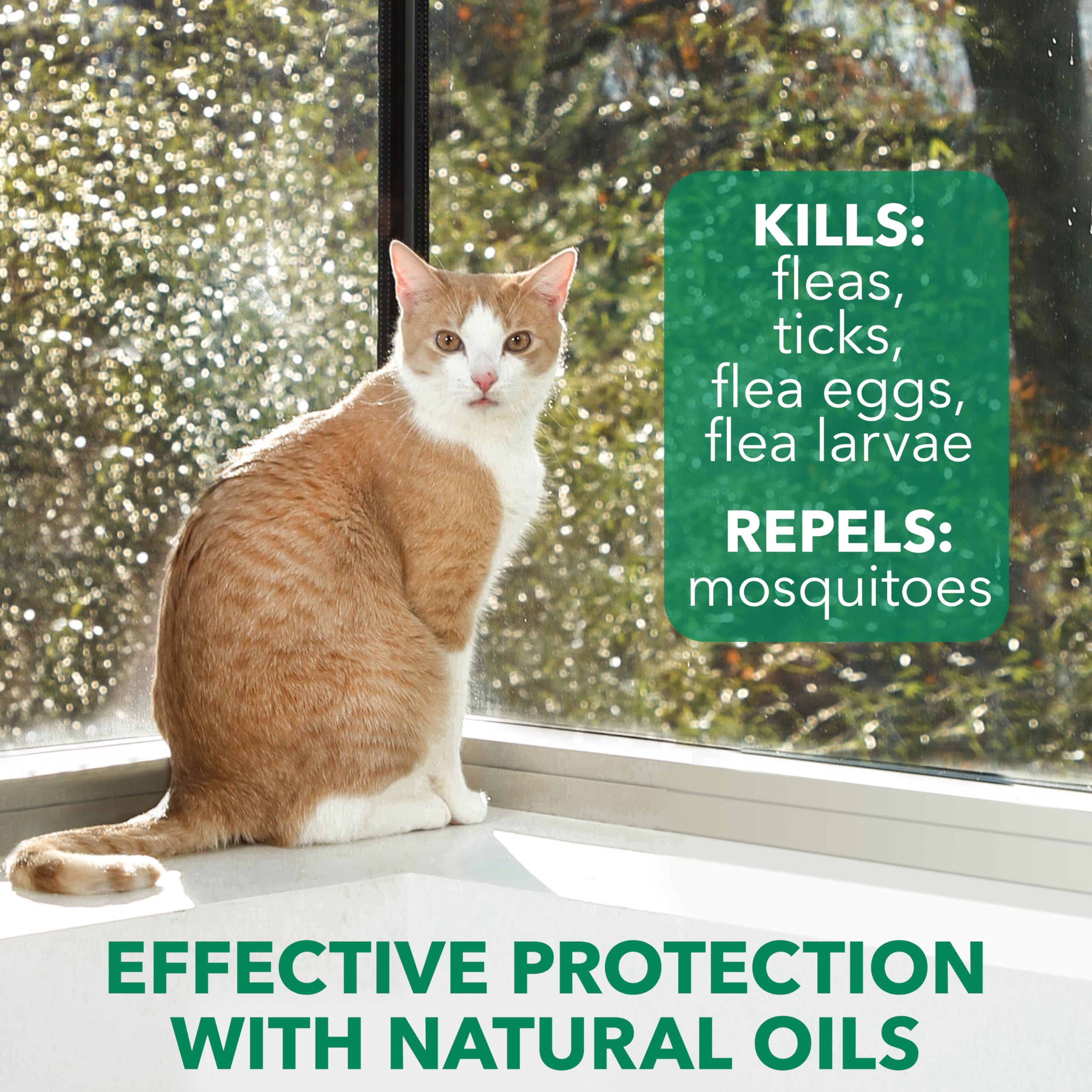 Hartz Natures Shield Flea & Tick Spray Treatment for Cats with Cedarwood and Lemongrass Oil, 14 Ounces