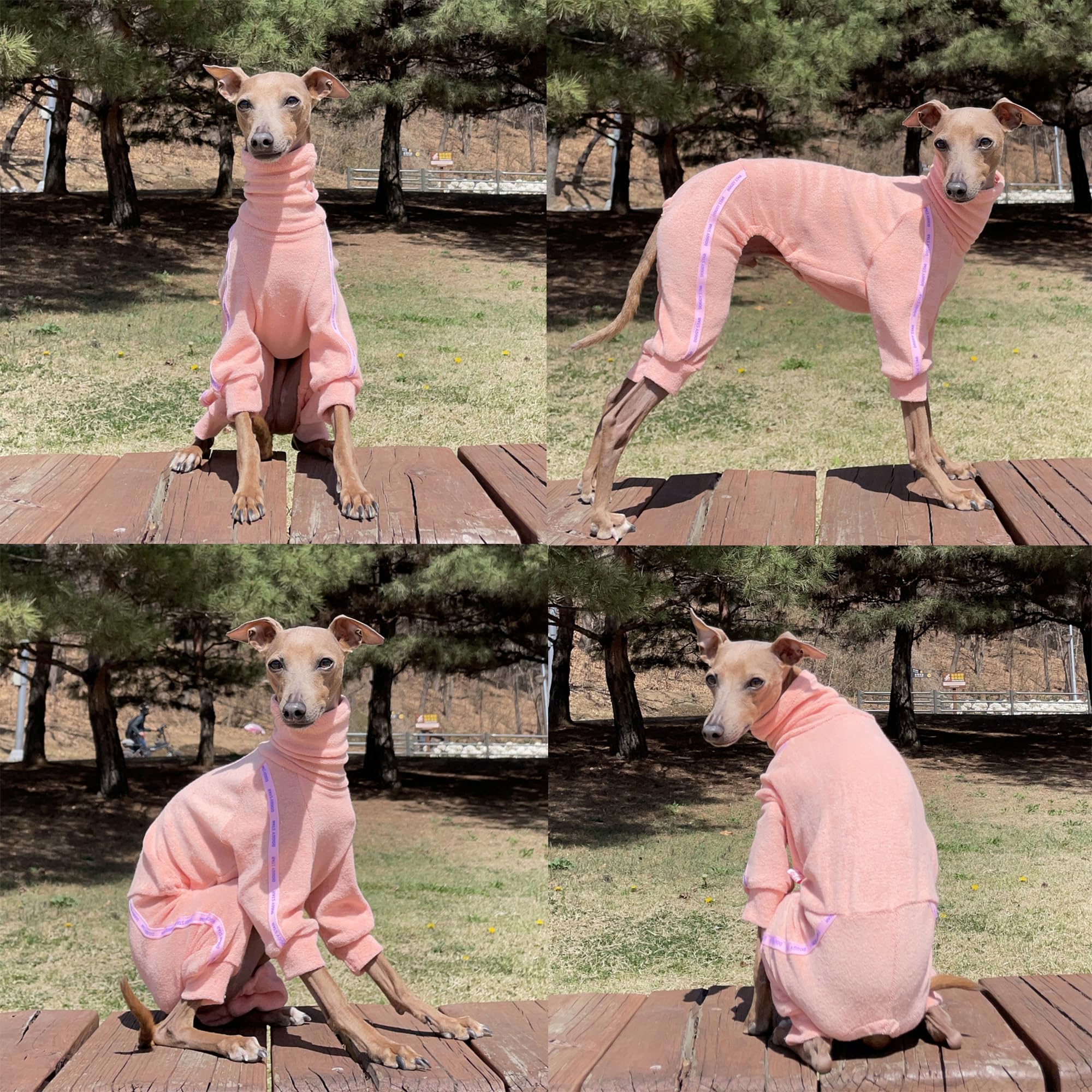 D Doggy Star Italian Greyhound Clothes Stretchy Towel Sports Onesie Outfit Whippet For Dog Coat (L,Twl Apricot)